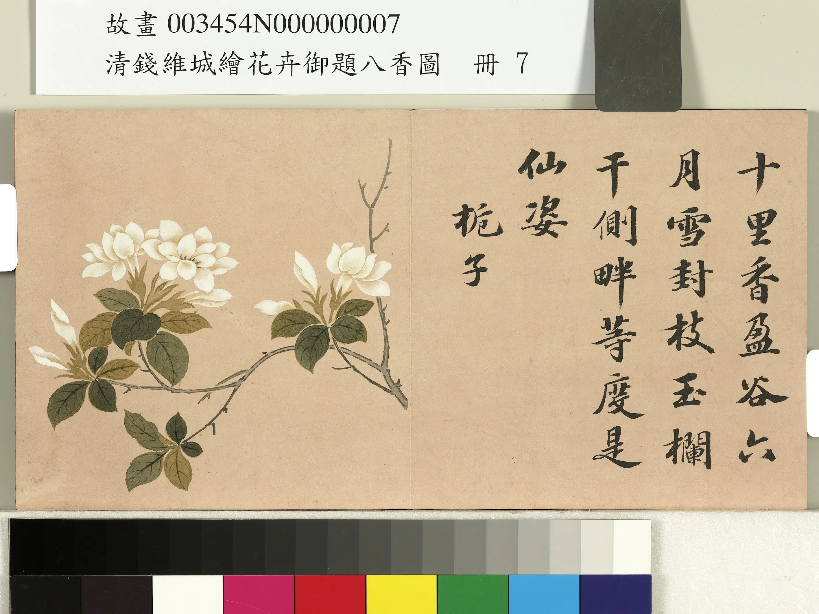 清代【钱维城】《绘花卉御题八香图册-栀枝》