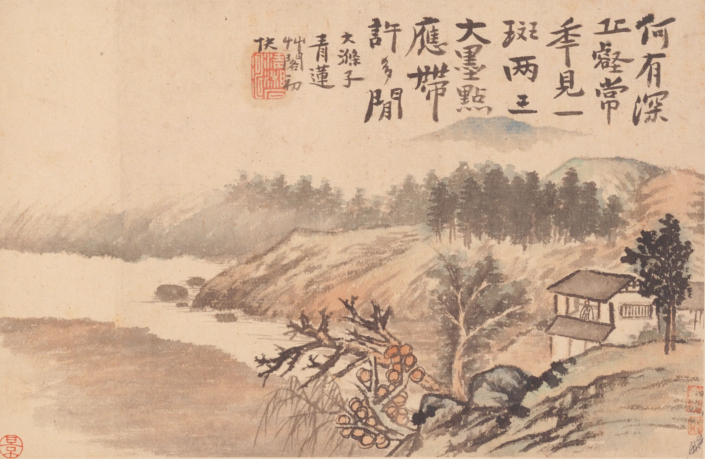 清代【石涛】《山水花卉册》 第12张