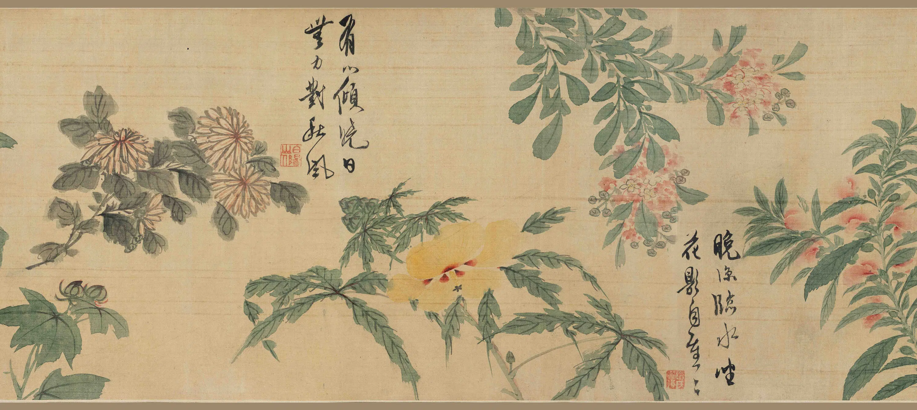 明朝【陈淳(道复)】《花卉图卷-3》 第3张 明朝【陈淳(道复)】《花卉图卷-3》 第3张
