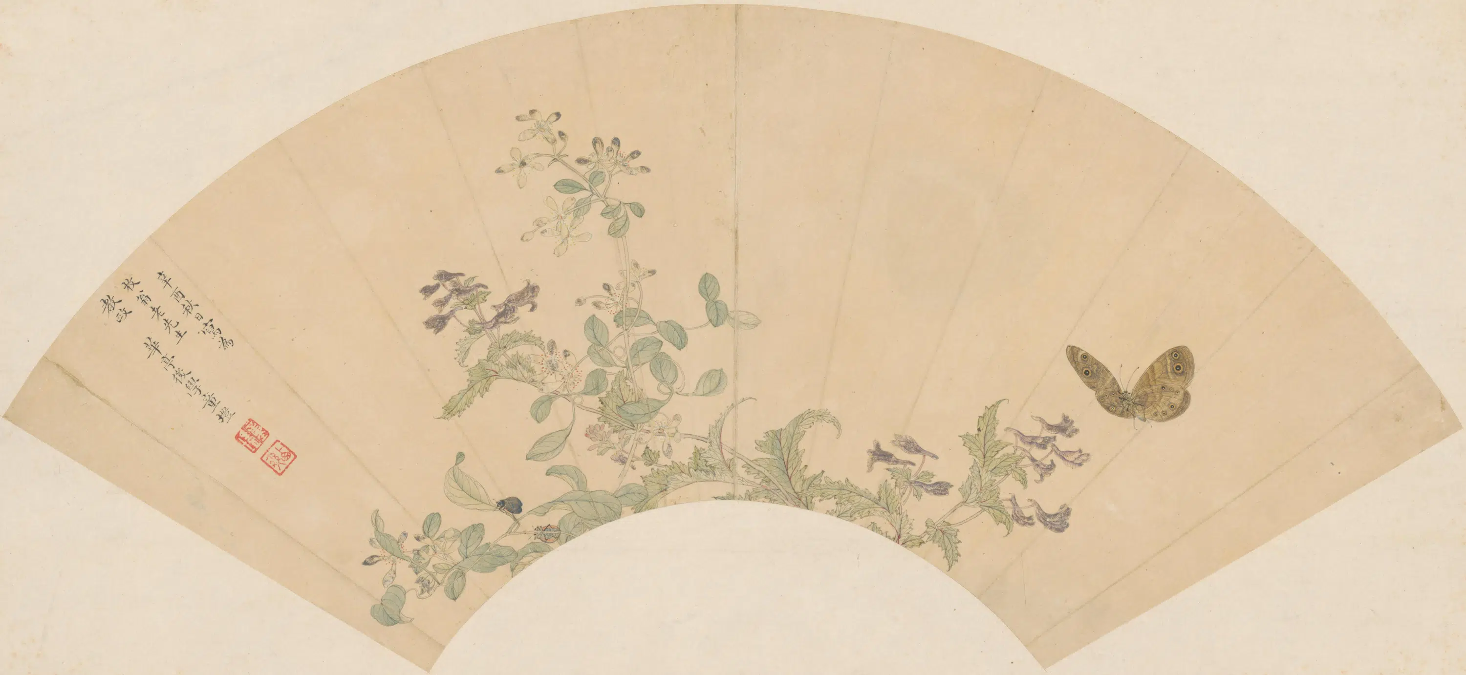 清代【童塏】《花蝶扇-1》