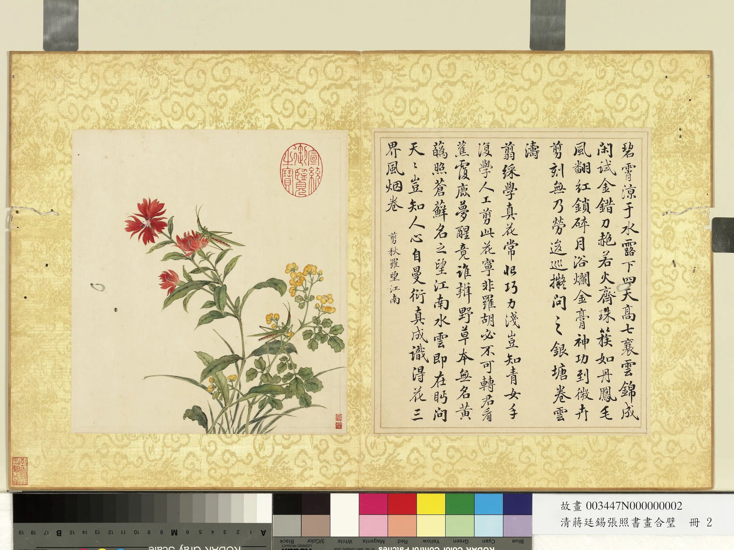 清代【张照蒋廷锡】《蒋廷锡张照书画合璧册-秋萝蝗虫》