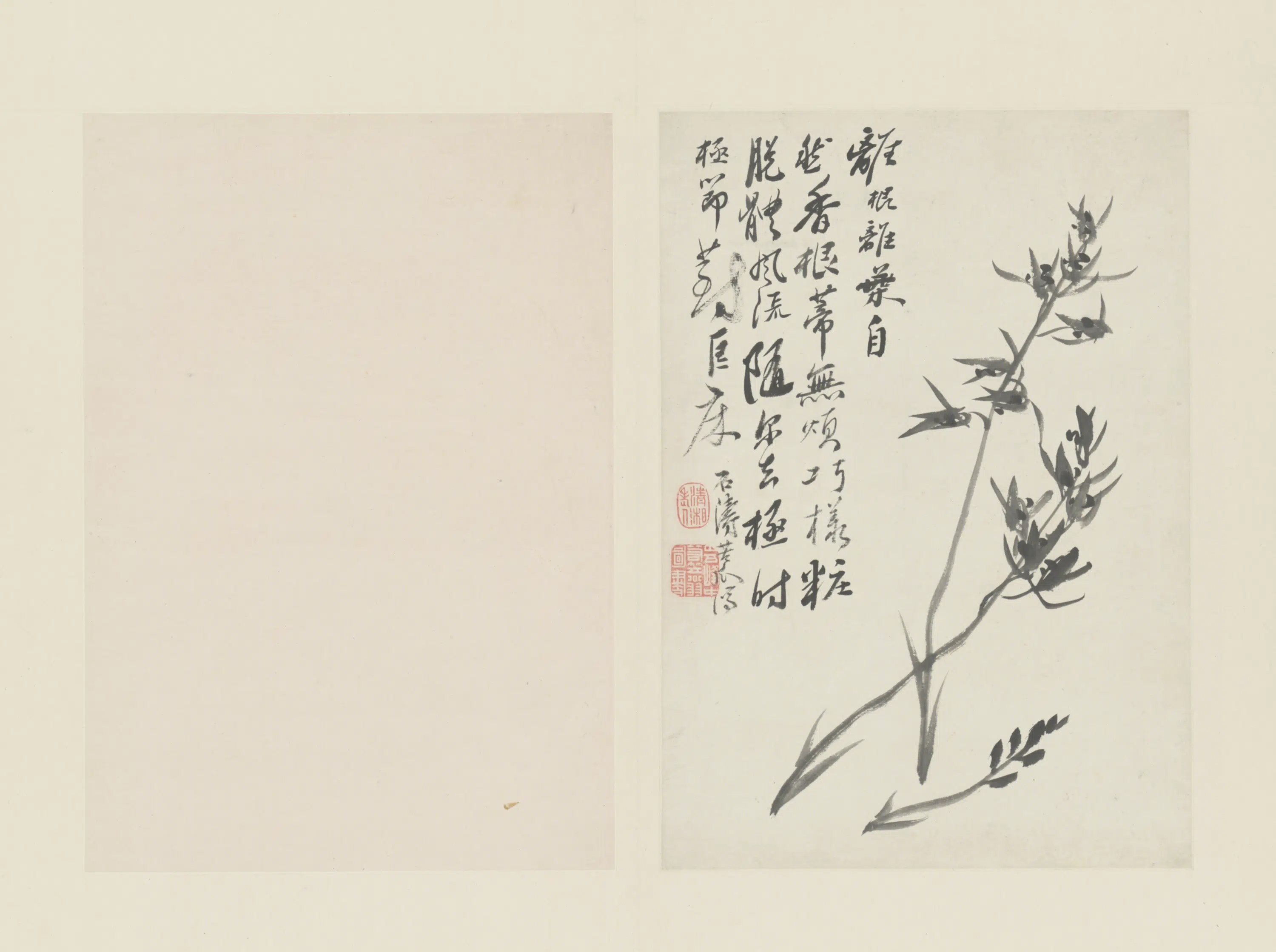 清代【原济】《兰竹册－兰花-1》