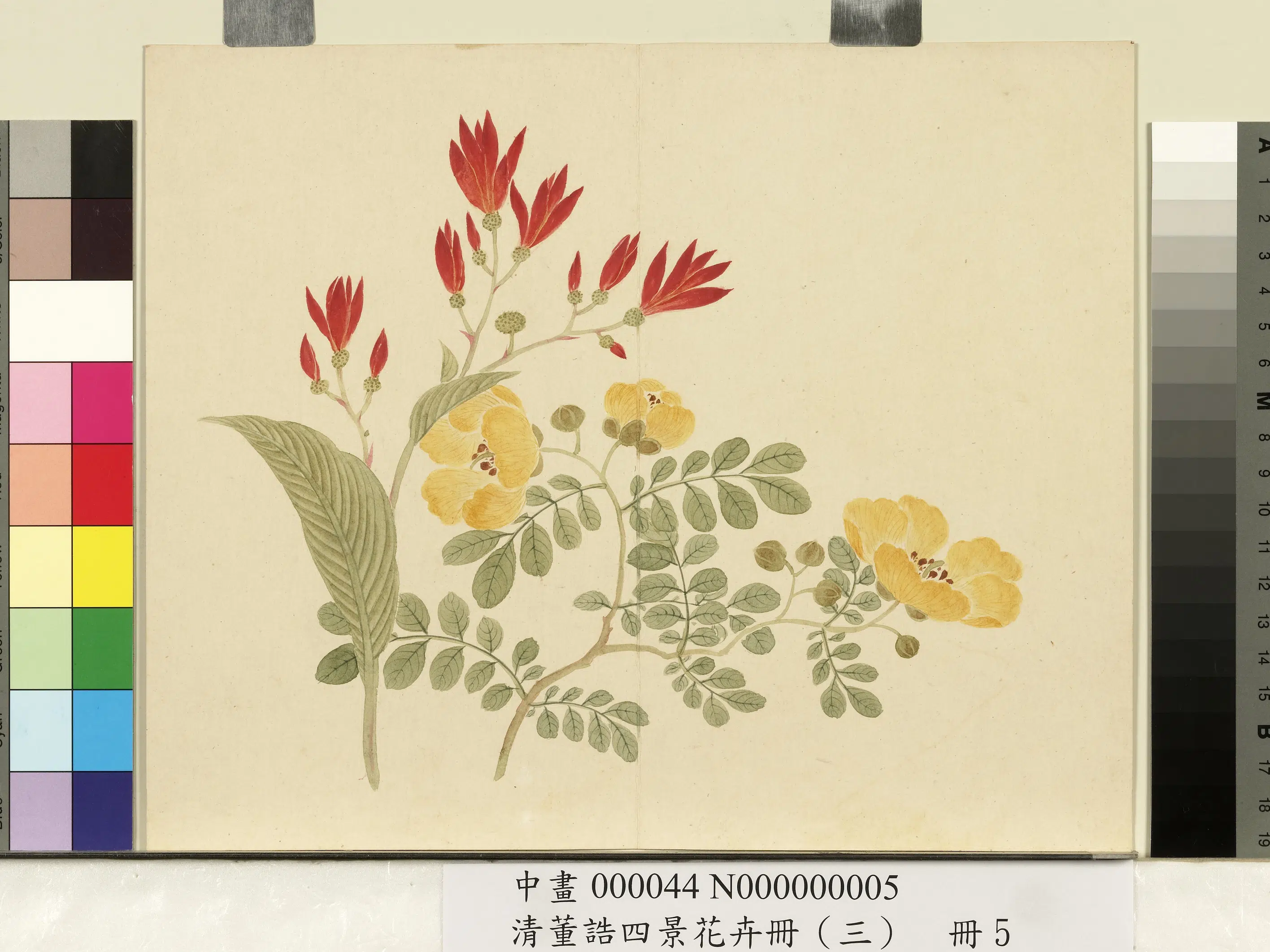 清代【董诰】《四景花卉（三）册-秋景花卉之五》 第1张