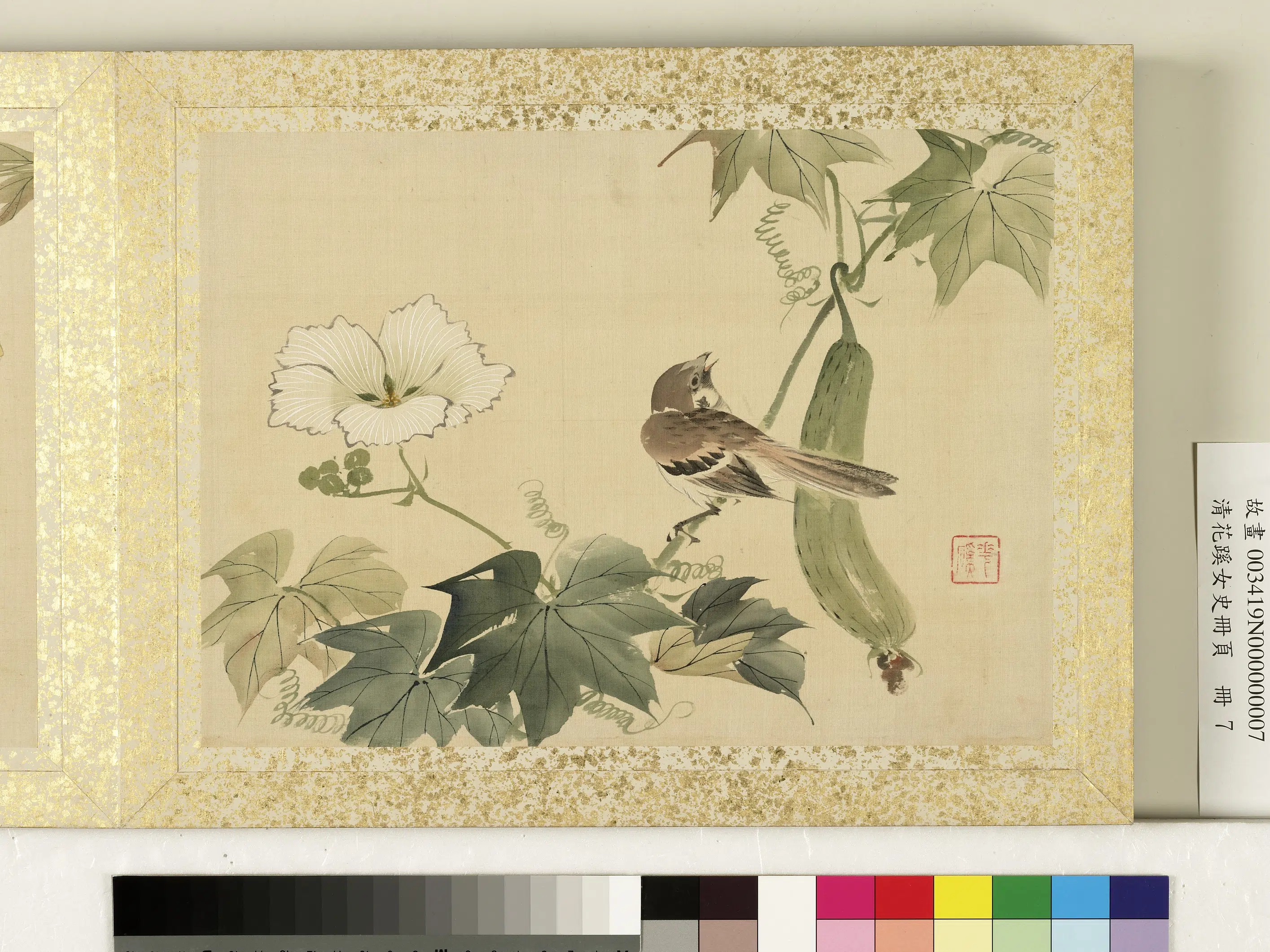 清代【迹见泷-花蹊女史】《花蹊女史册页册-丝瓜麻雀》