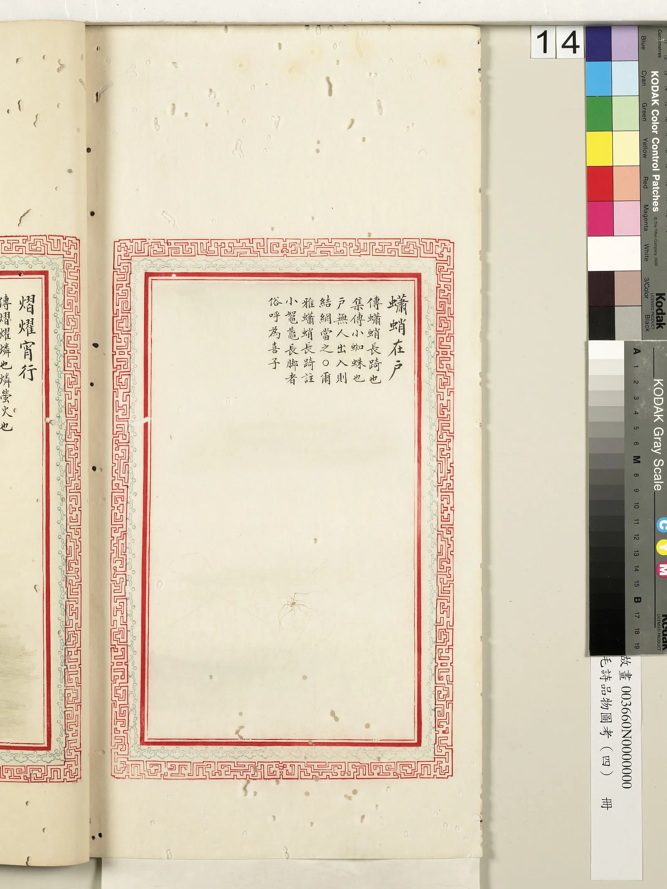 清朝【佚名】《毛诗品物图考（四）册-蟏蛸在户-2》