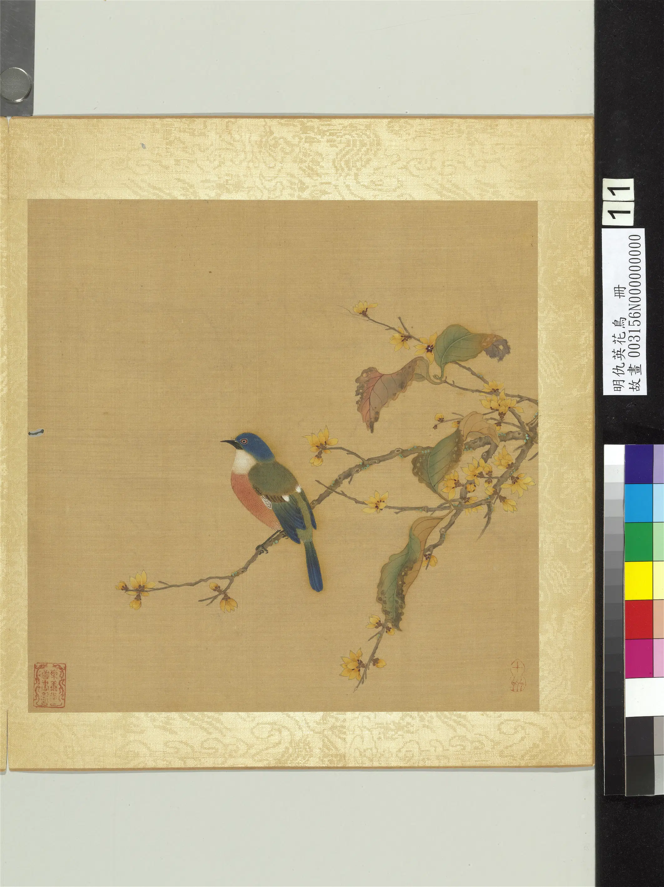 明朝【仇英】《花鸟册（12开）》 第11张