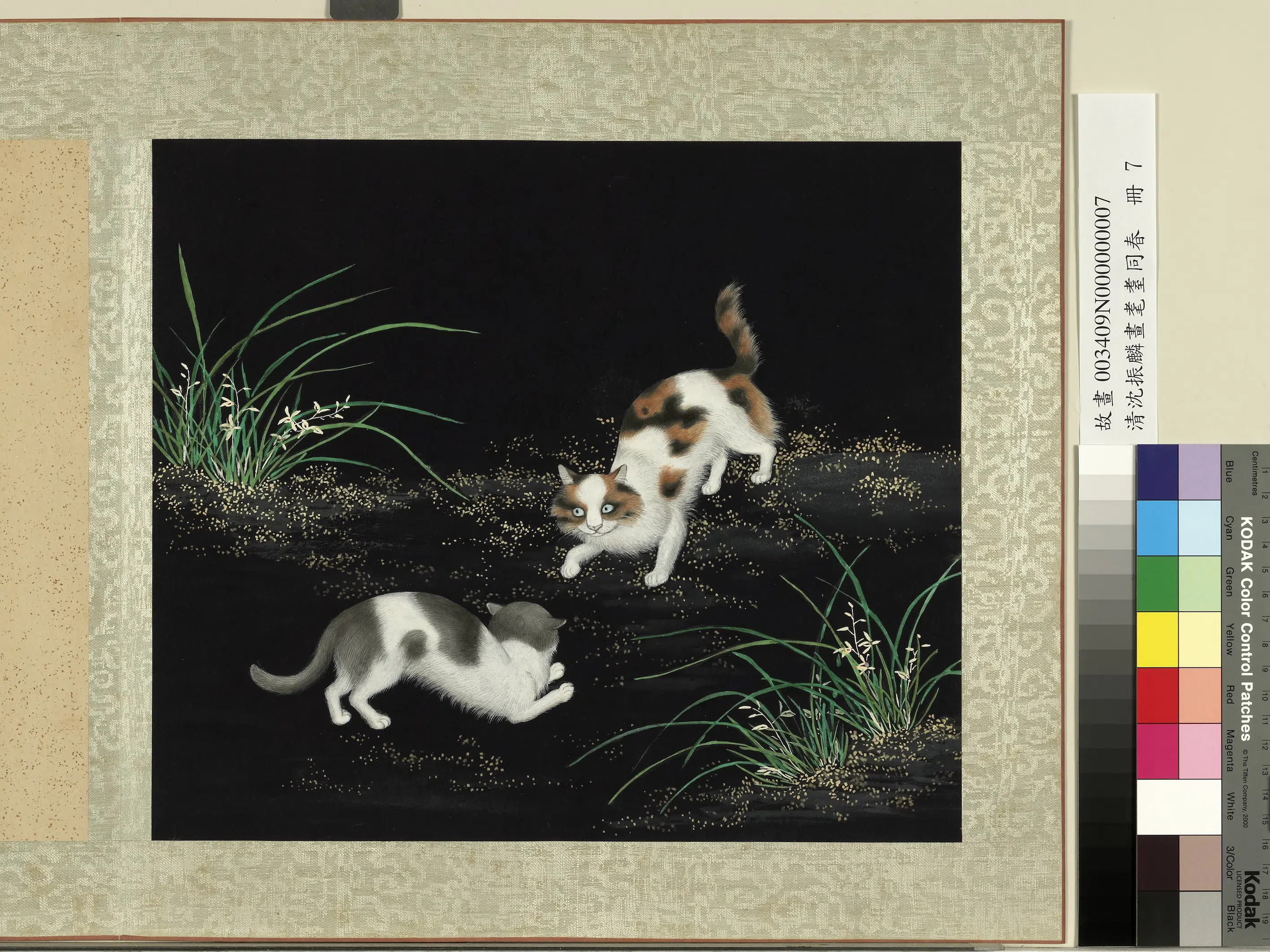 清朝【沈振麟】《画耄耋同春册_兰蕙狸奴》