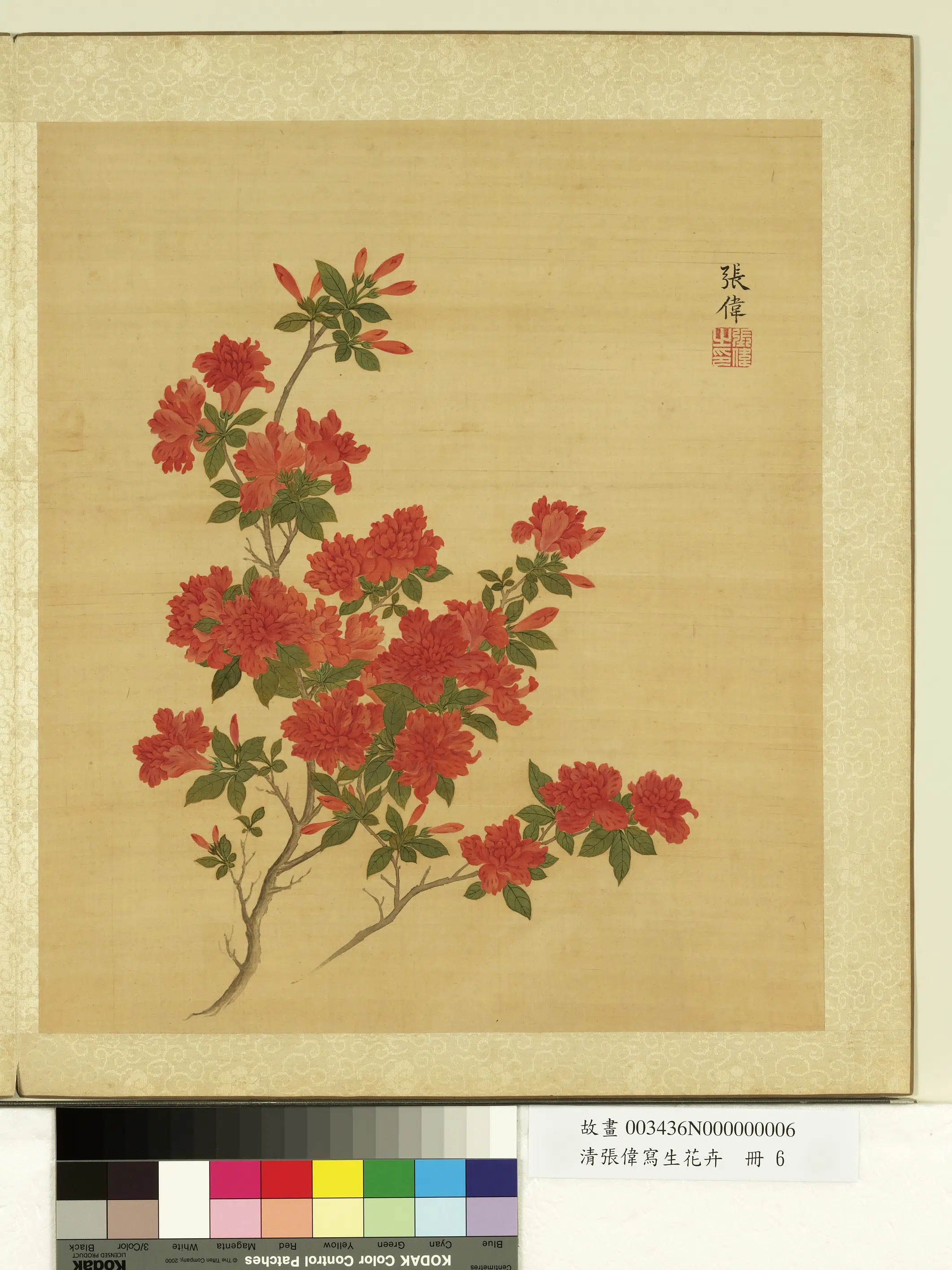 清代【张伟】《写生花卉册-杜鹃》