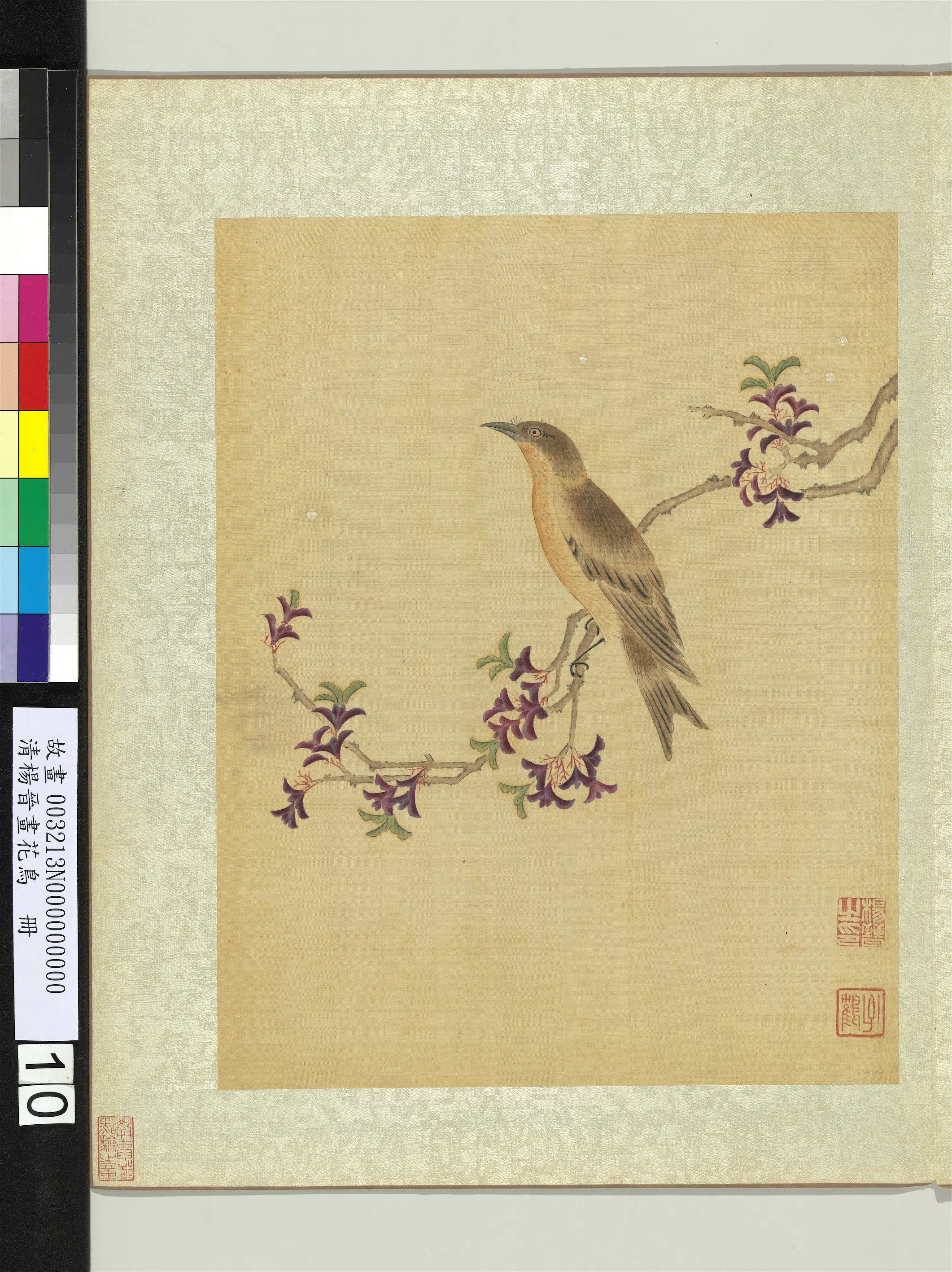 清代【杨晋】《画花鸟册-枝上画眉》