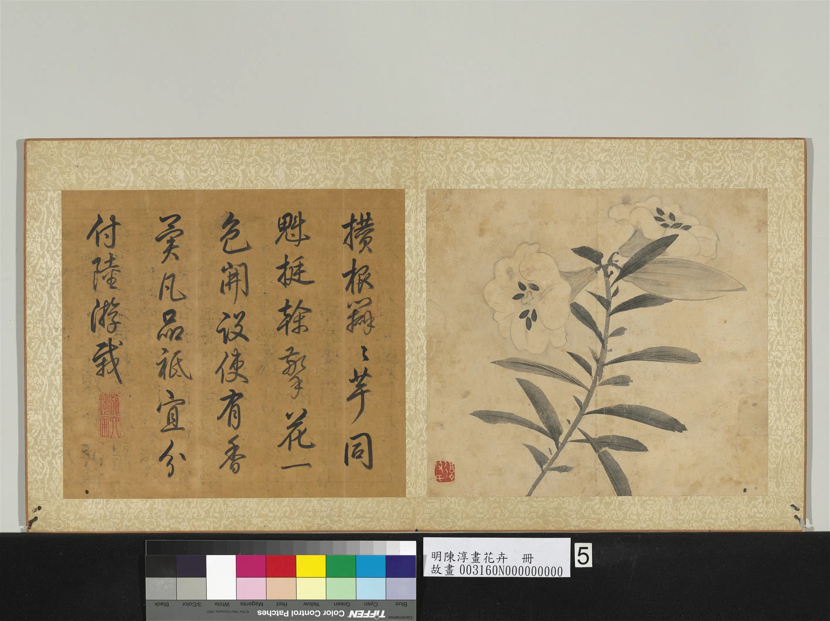 明朝【陈淳（道复）】《画花卉册》 第6张