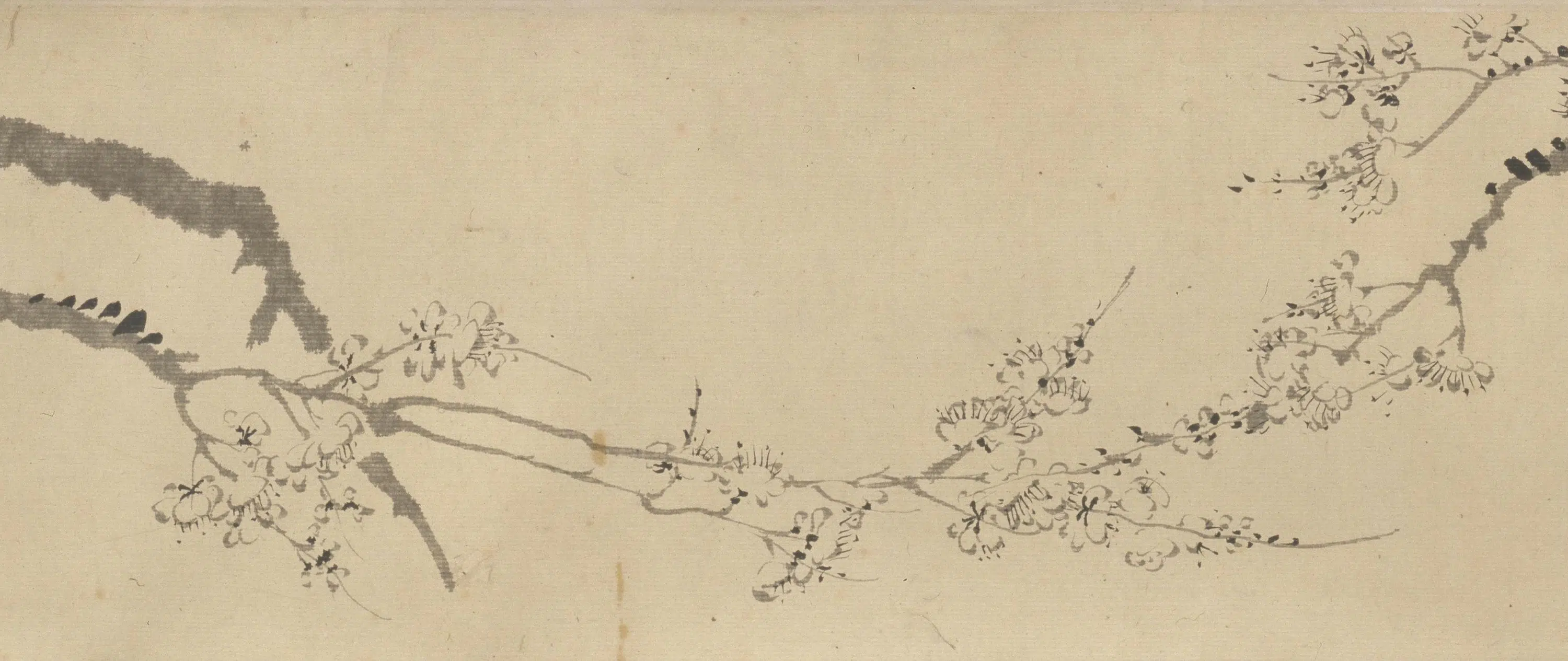 清代【汪士慎】《墨梅图卷》 第12张