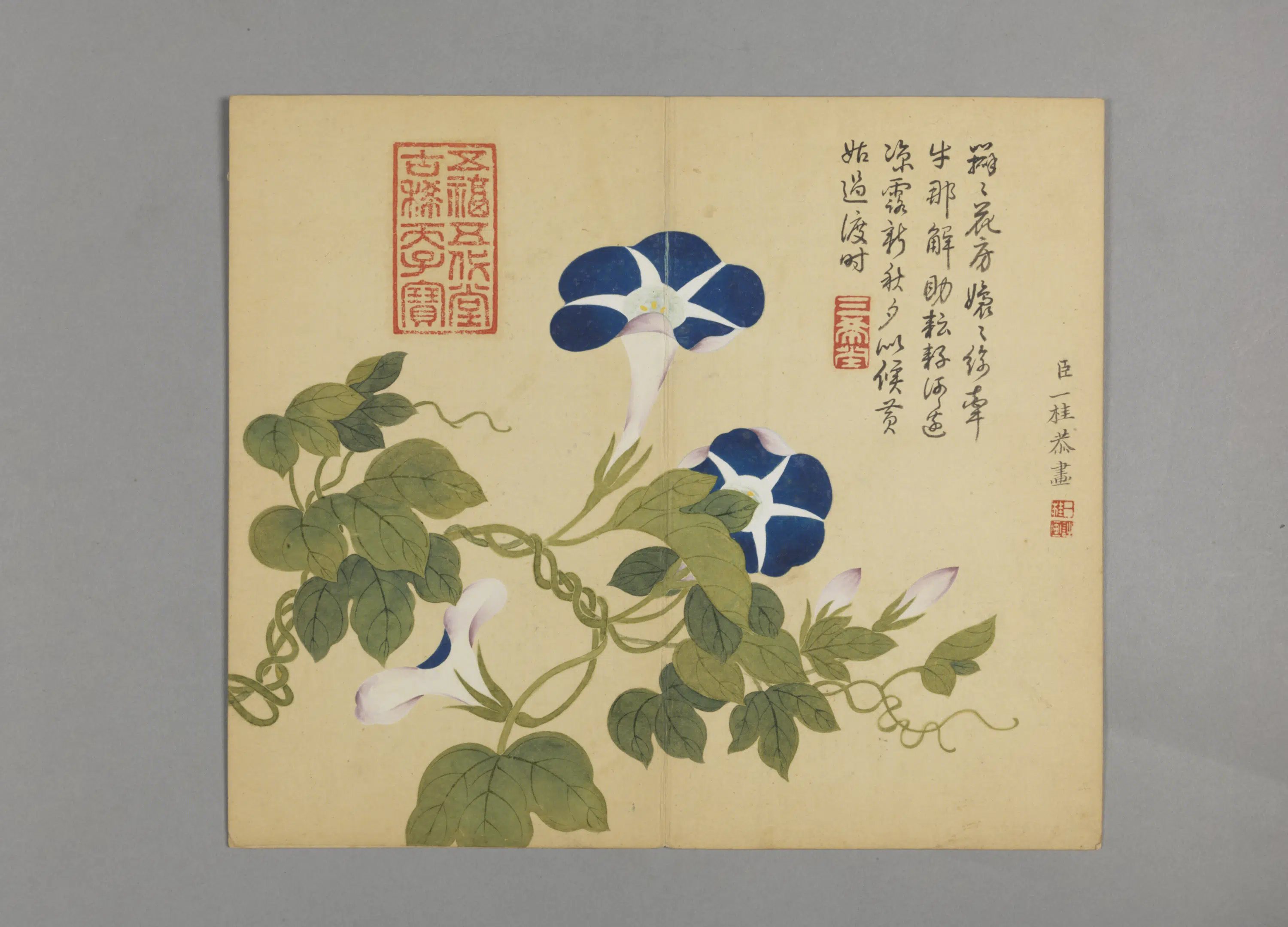 清代【邹一桂】《花鸟草虫图册（12开）》 第11张