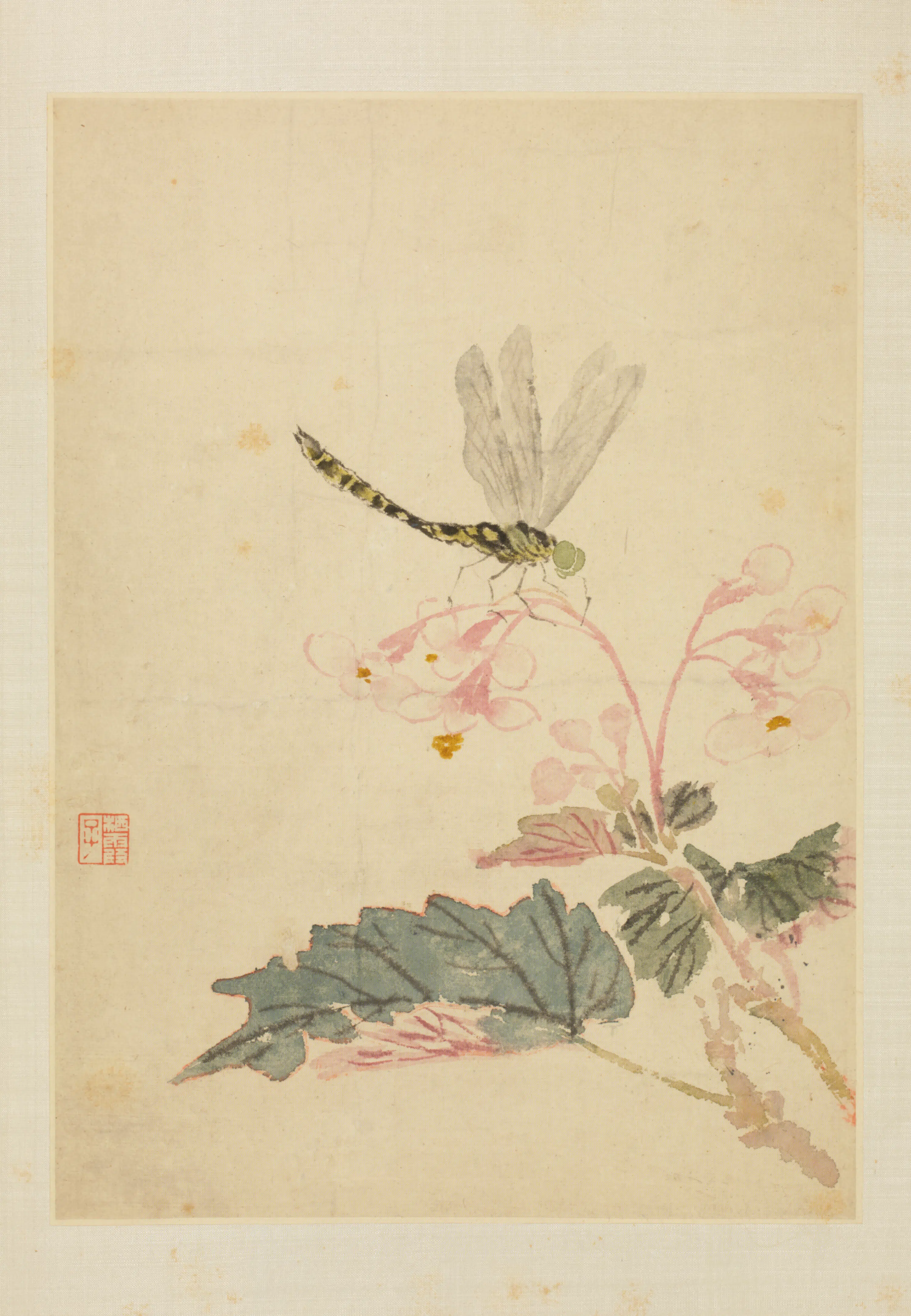 清代【马元驭】《花鸟册》 第10张