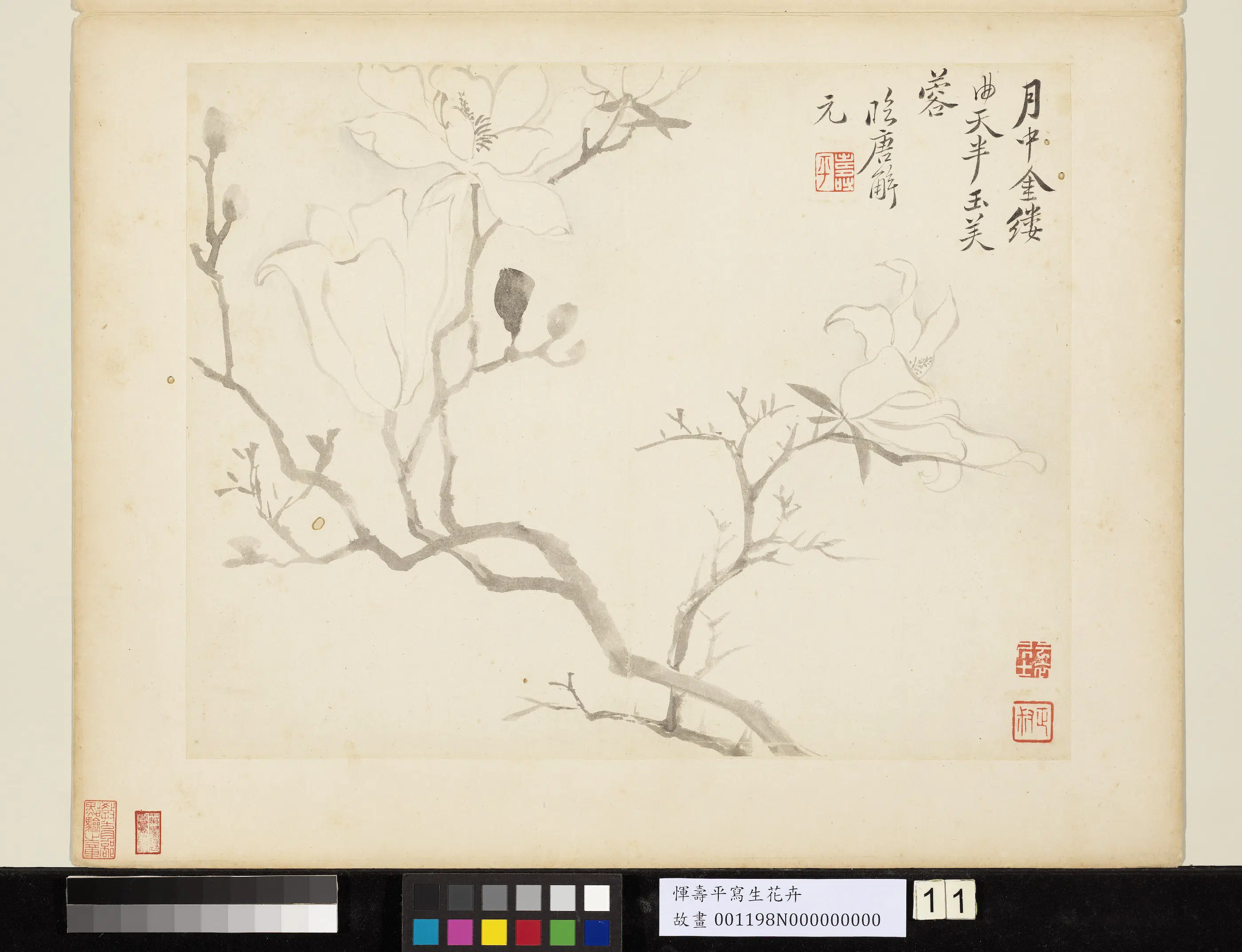 清代【恽寿平】《写生花卉册》 第7张 清代【恽寿平】《写生花卉册》 第7张