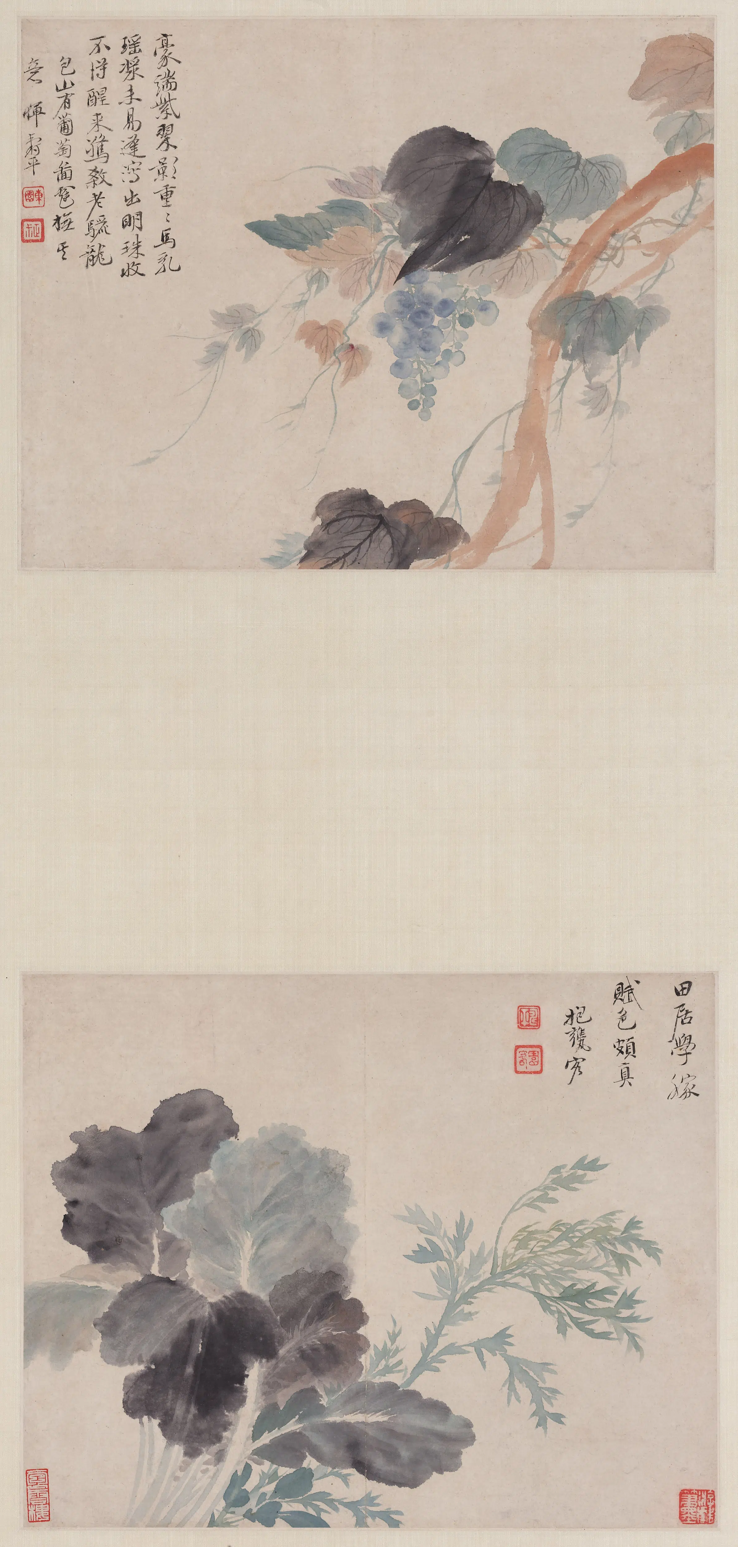清代【恽寿平】《蔬果斗方图轴》