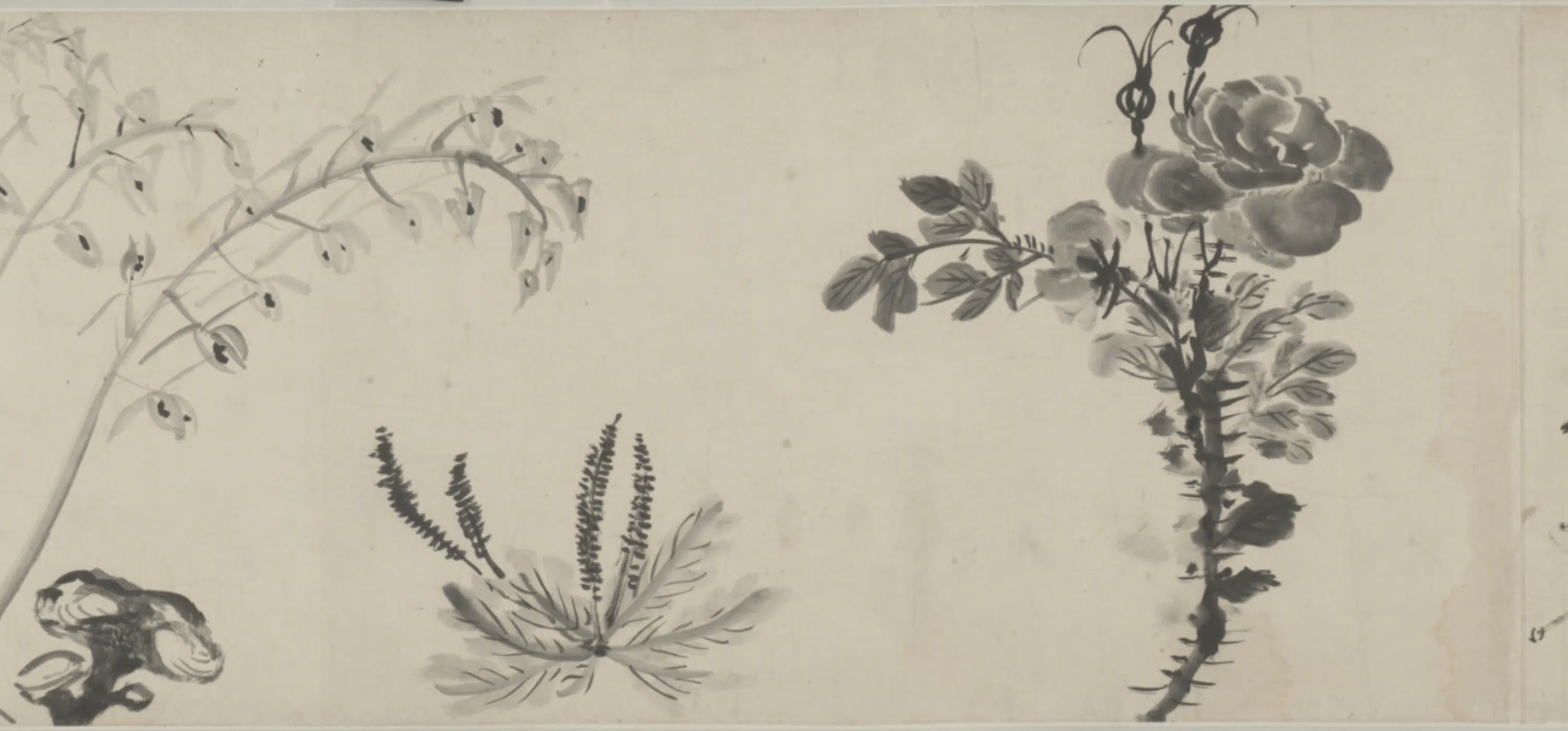 明朝【王铎】《墨花卷》 第4张