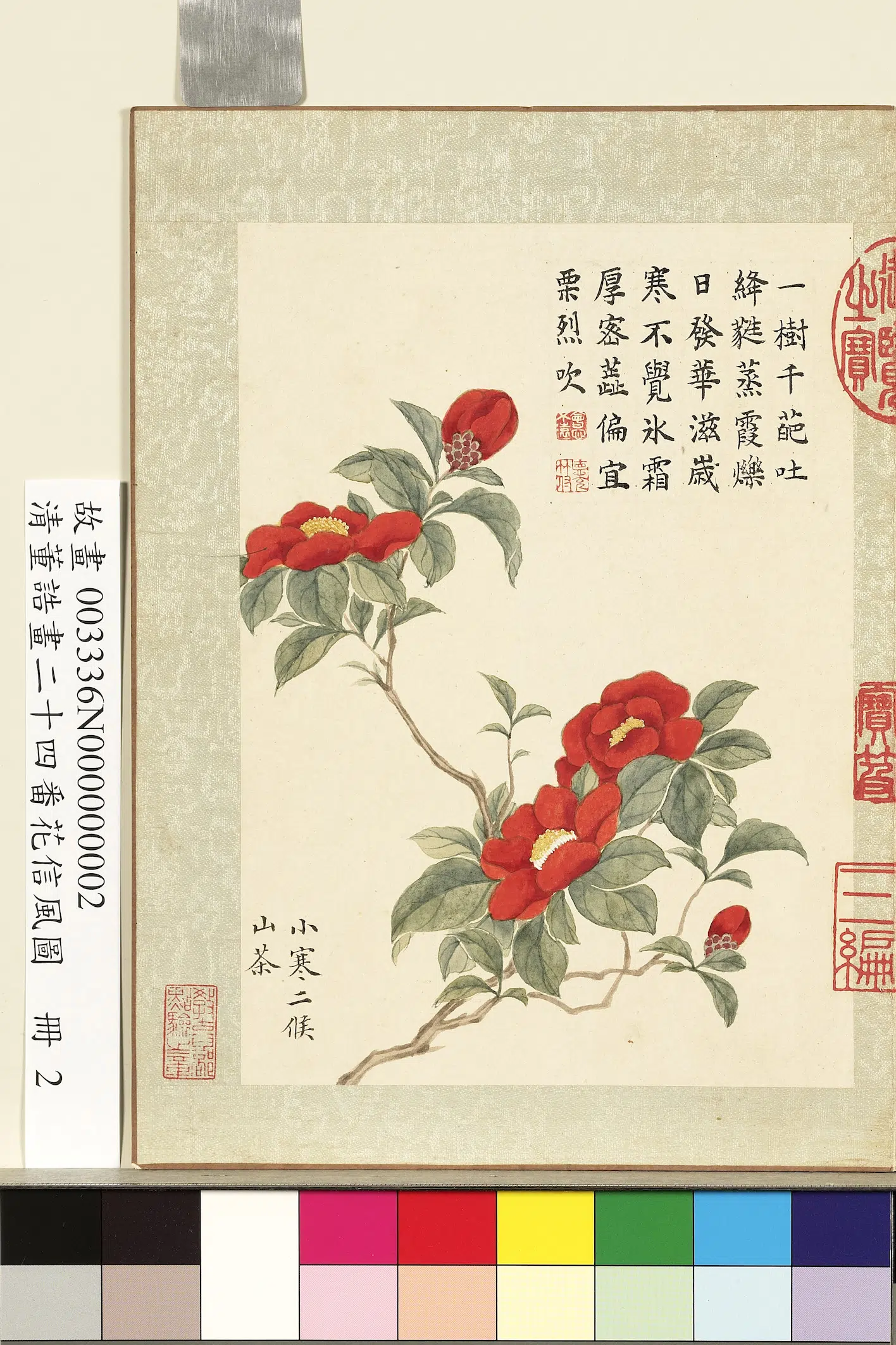 清代【董诰】《画二十四番花信风图册-小寒二候山茶》