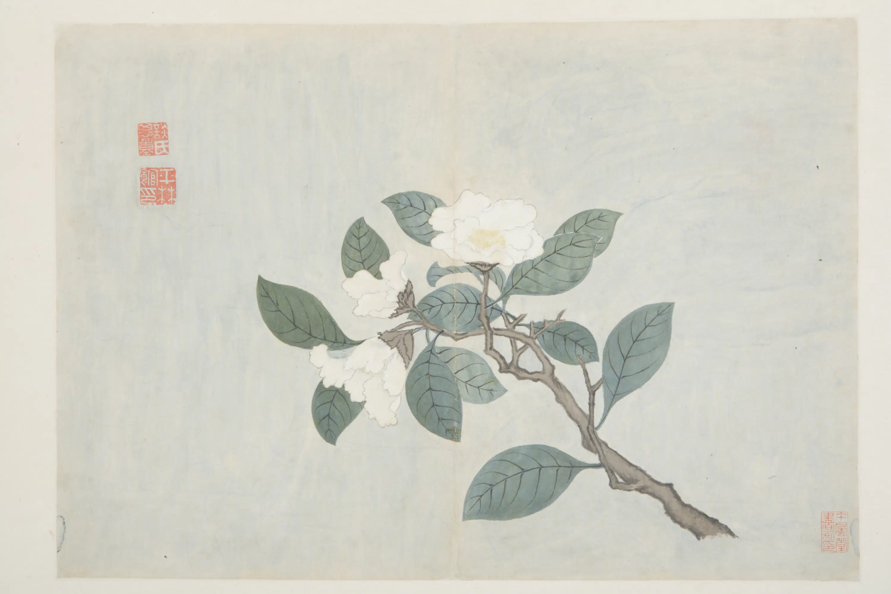 明朝【谈志伊】《花鸟册》 第18张