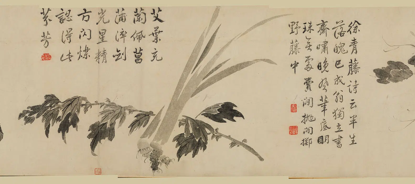 清代【边寿民】《花卉图卷》 第6张