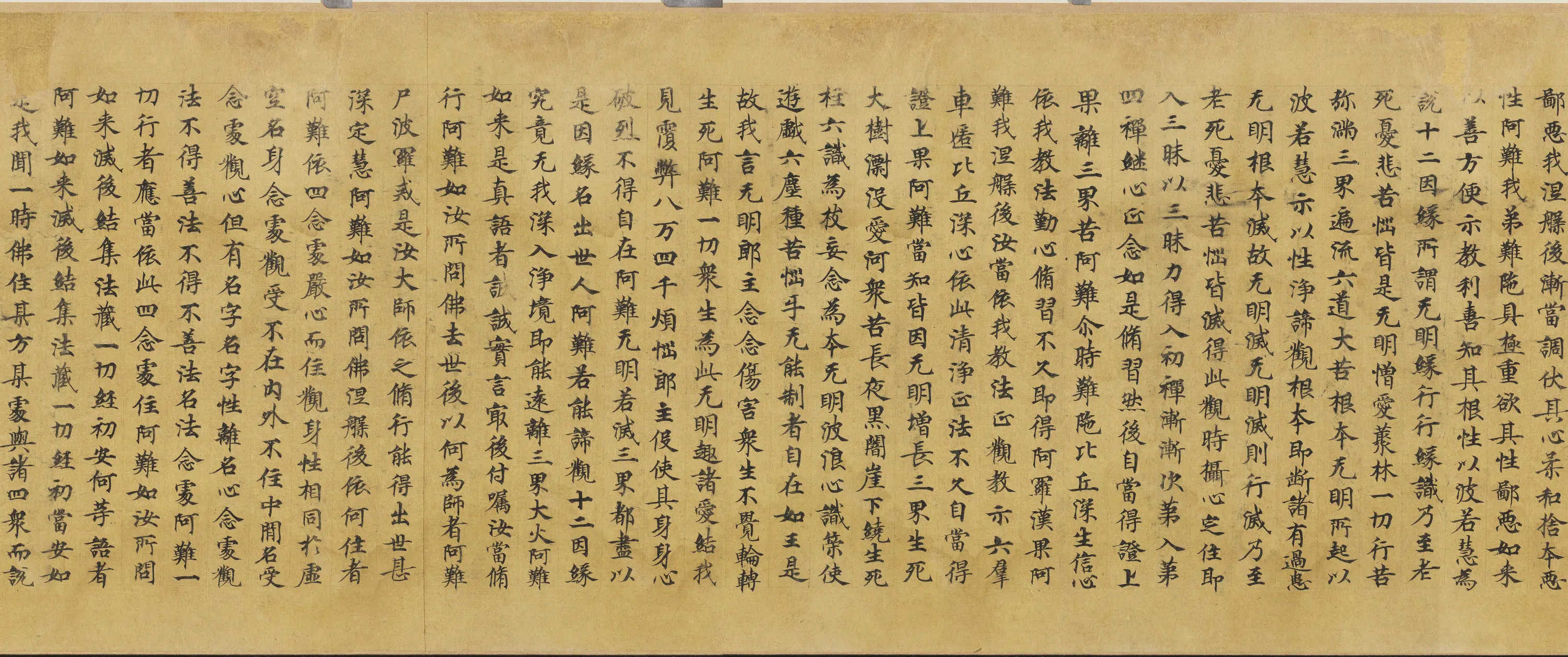 唐朝《唐人写大般涅盘经卷卌一卷》 第5张