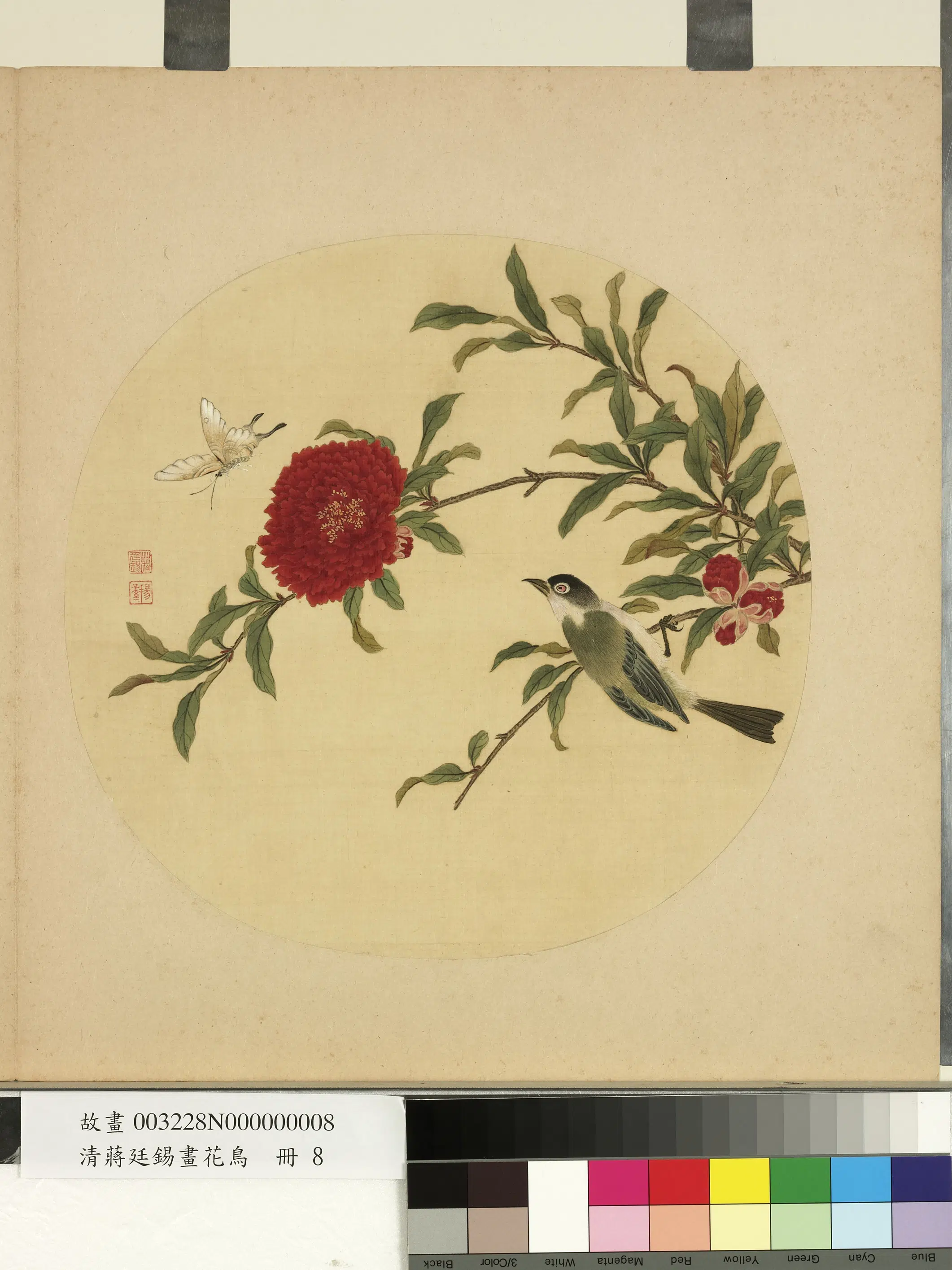 清代【蒋廷锡】《画花鸟册-2》 第4张 清代【蒋廷锡】《画花鸟册-2》 第4张