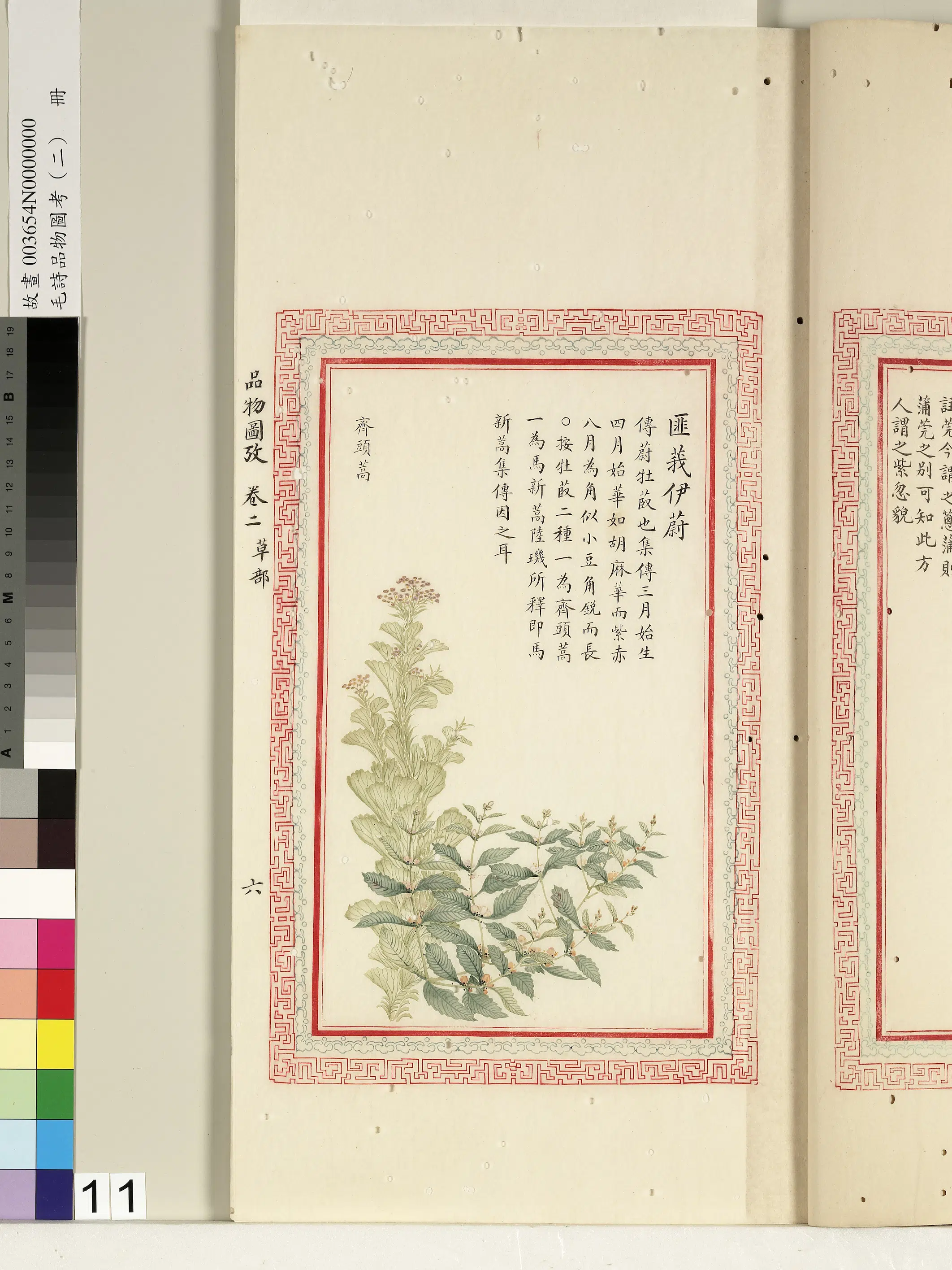 清代《毛诗品物图考(二)册-1》 第11张 清代《毛诗品物图考(二)册-1》 第11张