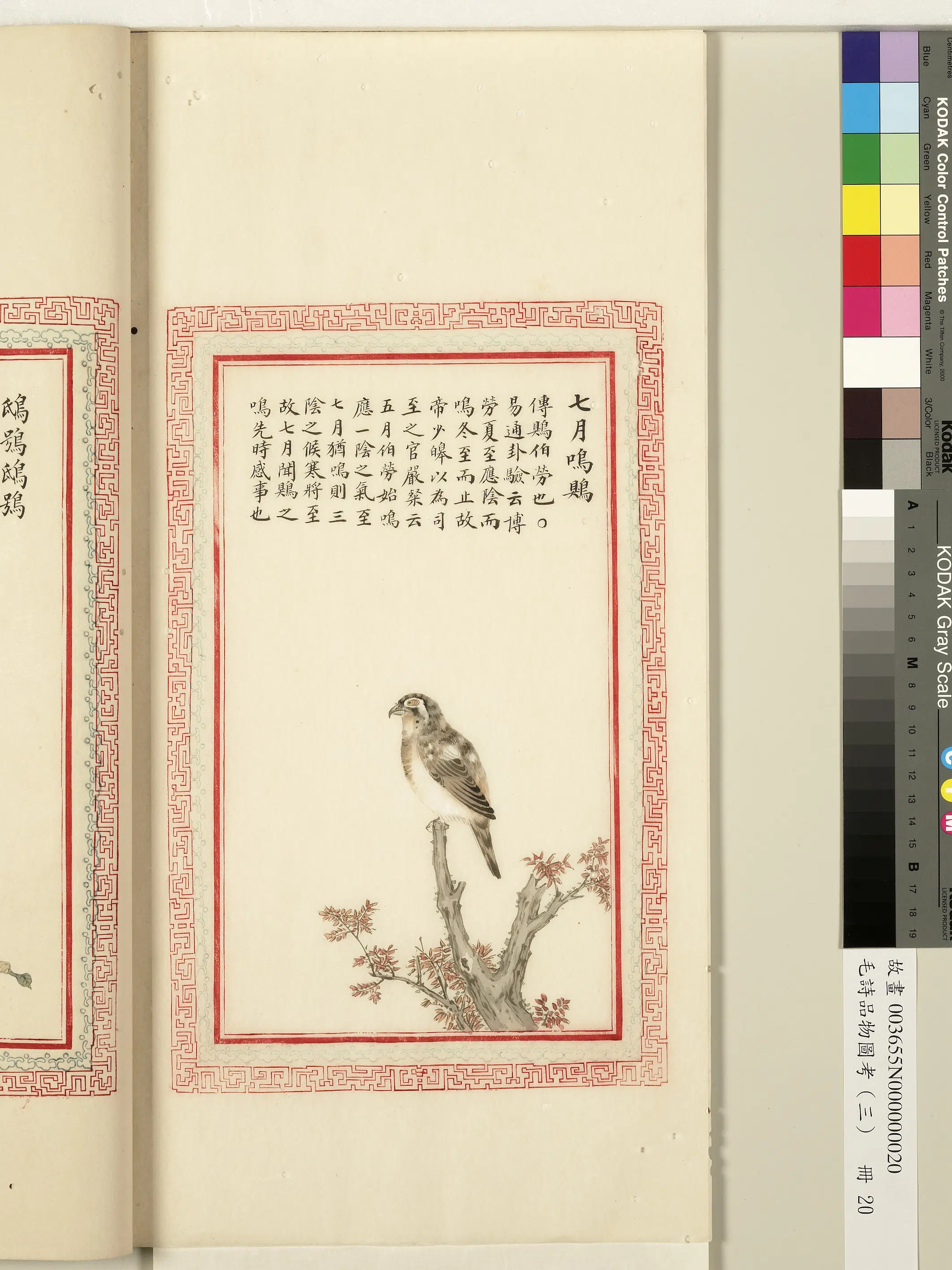 清代《毛诗品物图考（三）册-1》