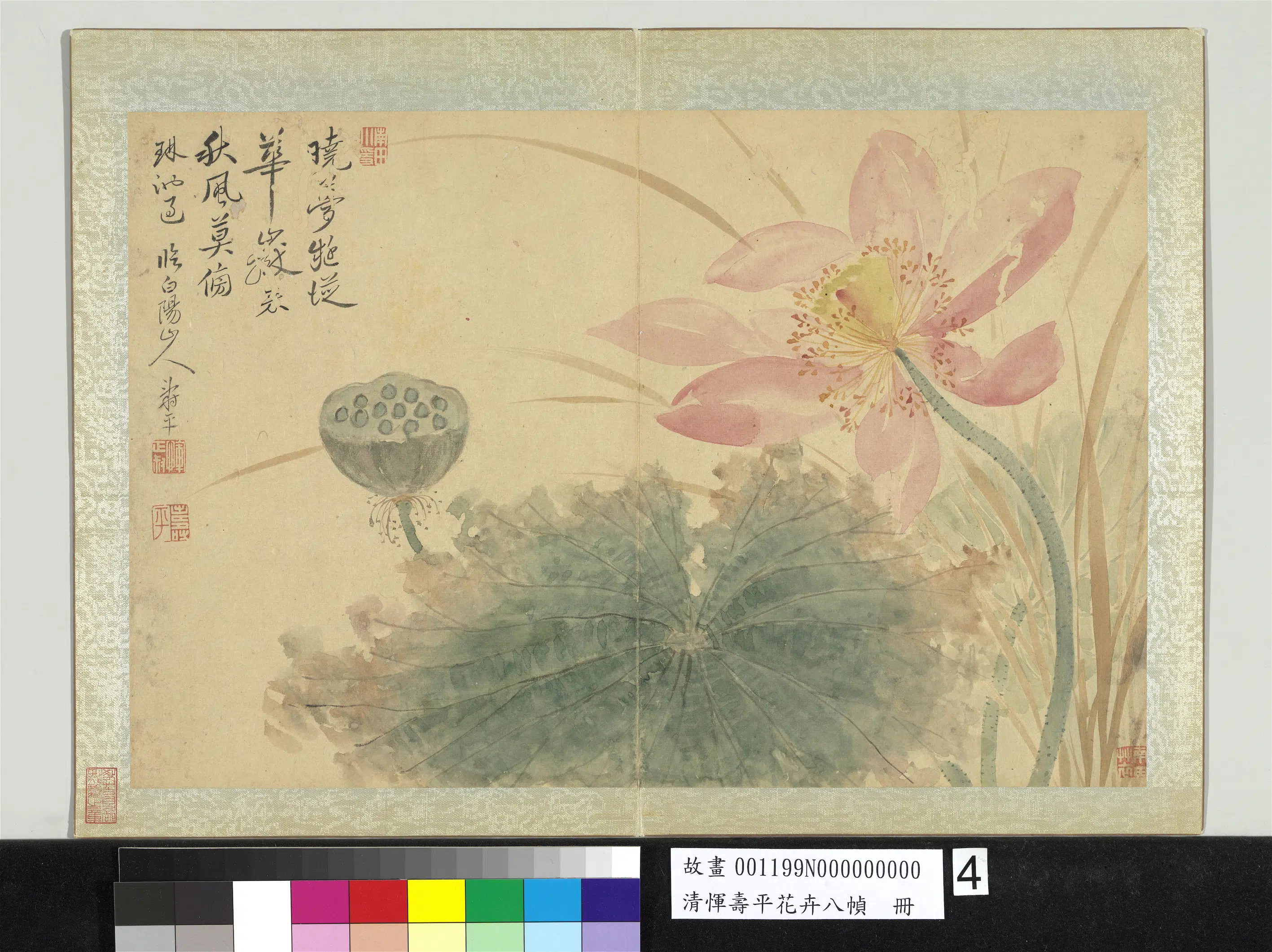 清代【恽寿平】《花卉八帧册-临白阳山人》