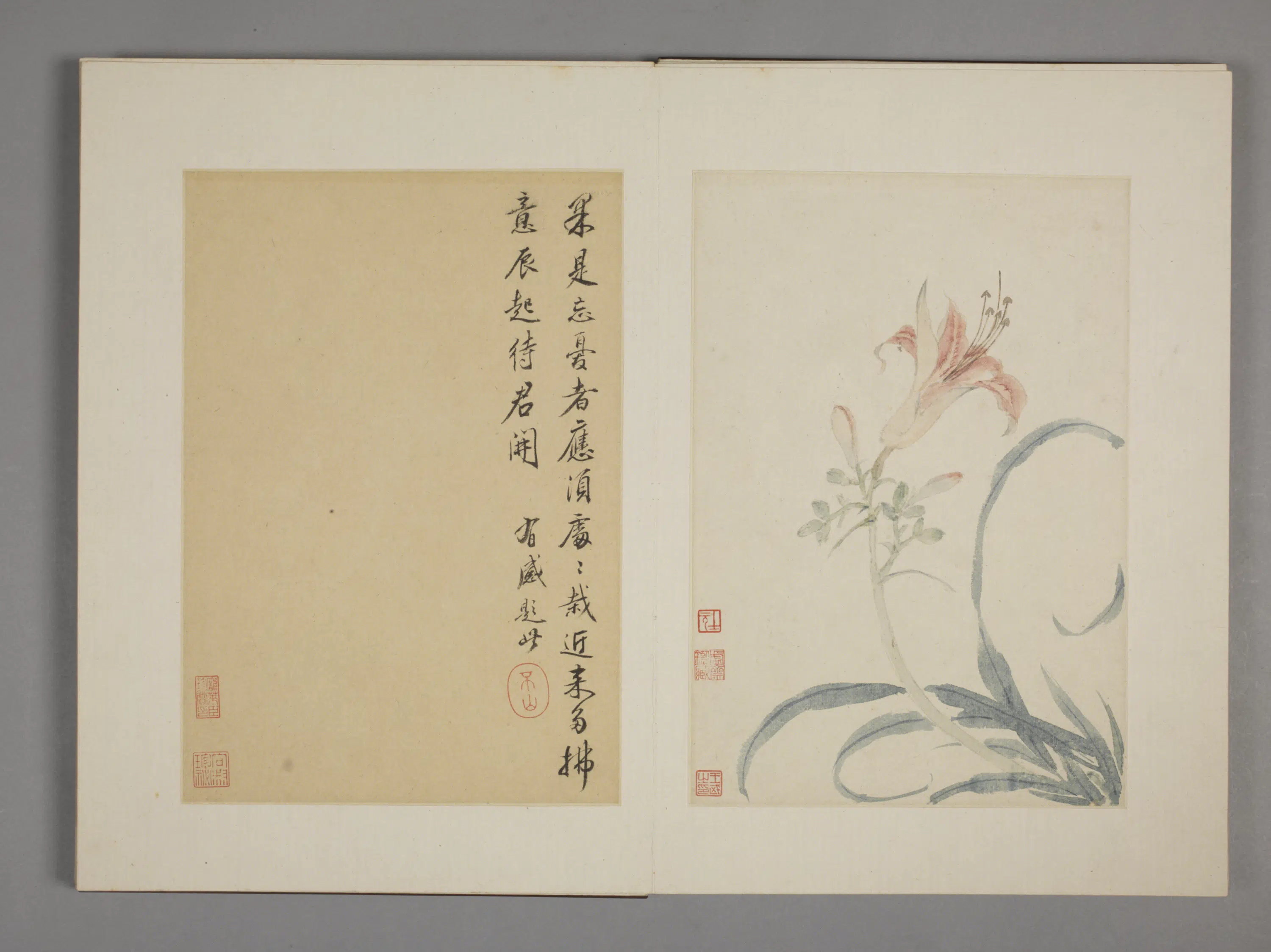 清代【王武】《花卉册九开》 第5张