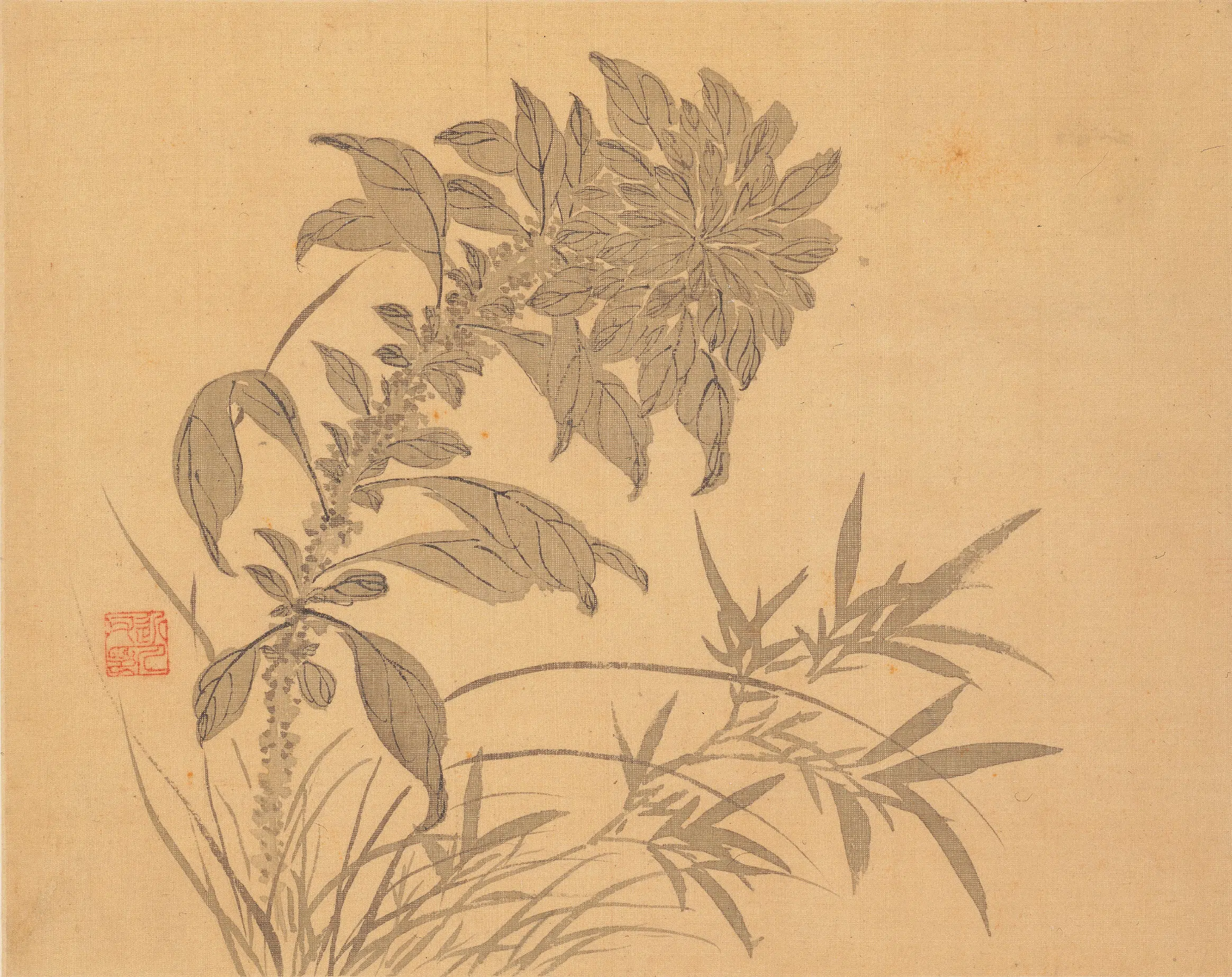 清代【汪士慎】《花卉册》 第3张 清代【汪士慎】《花卉册》 第3张