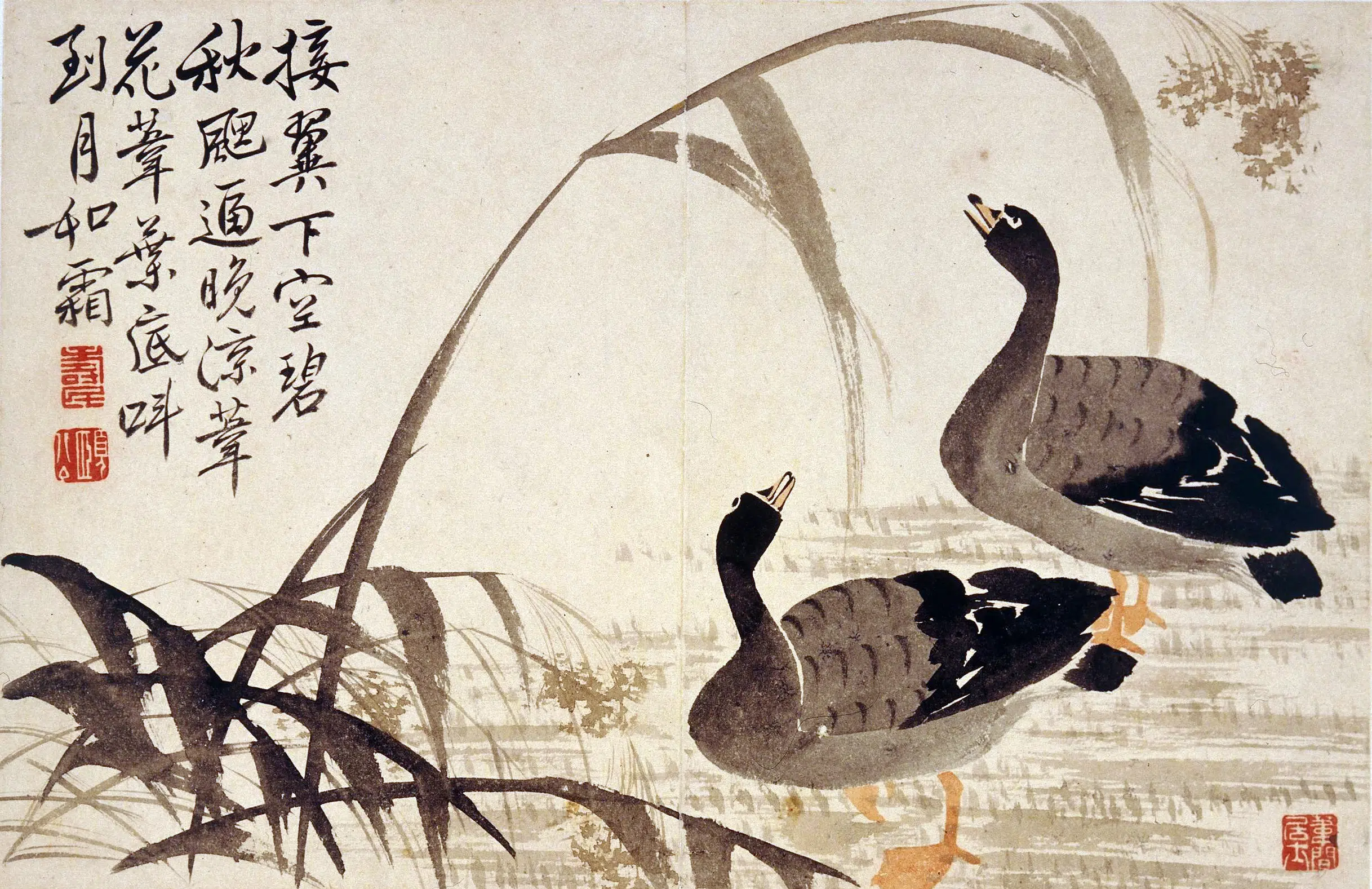 清代【边寿民】《芦雁图册（八开）》 第8张