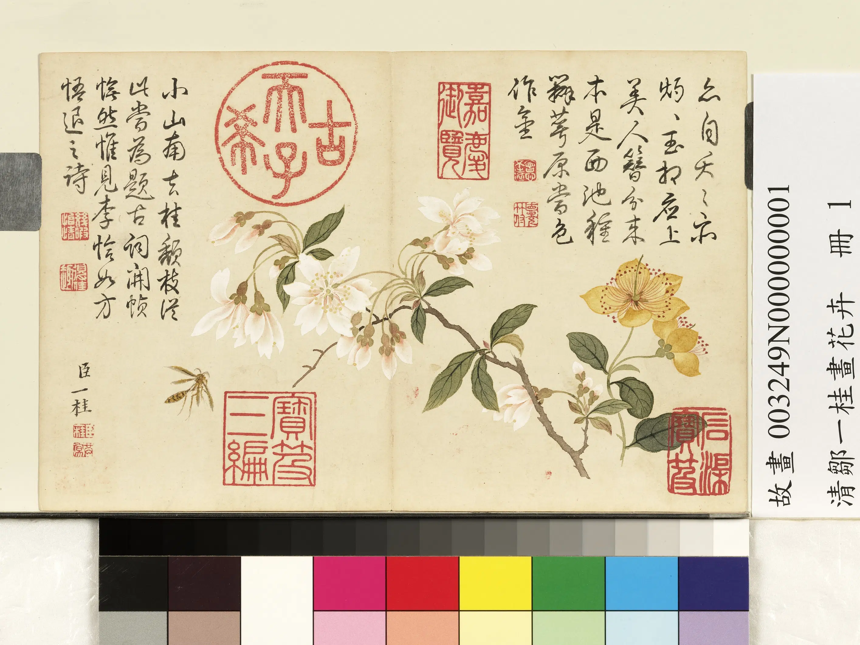 清代【邹一桂】《画花卉册》 第4张 清代【邹一桂】《画花卉册》 第4张