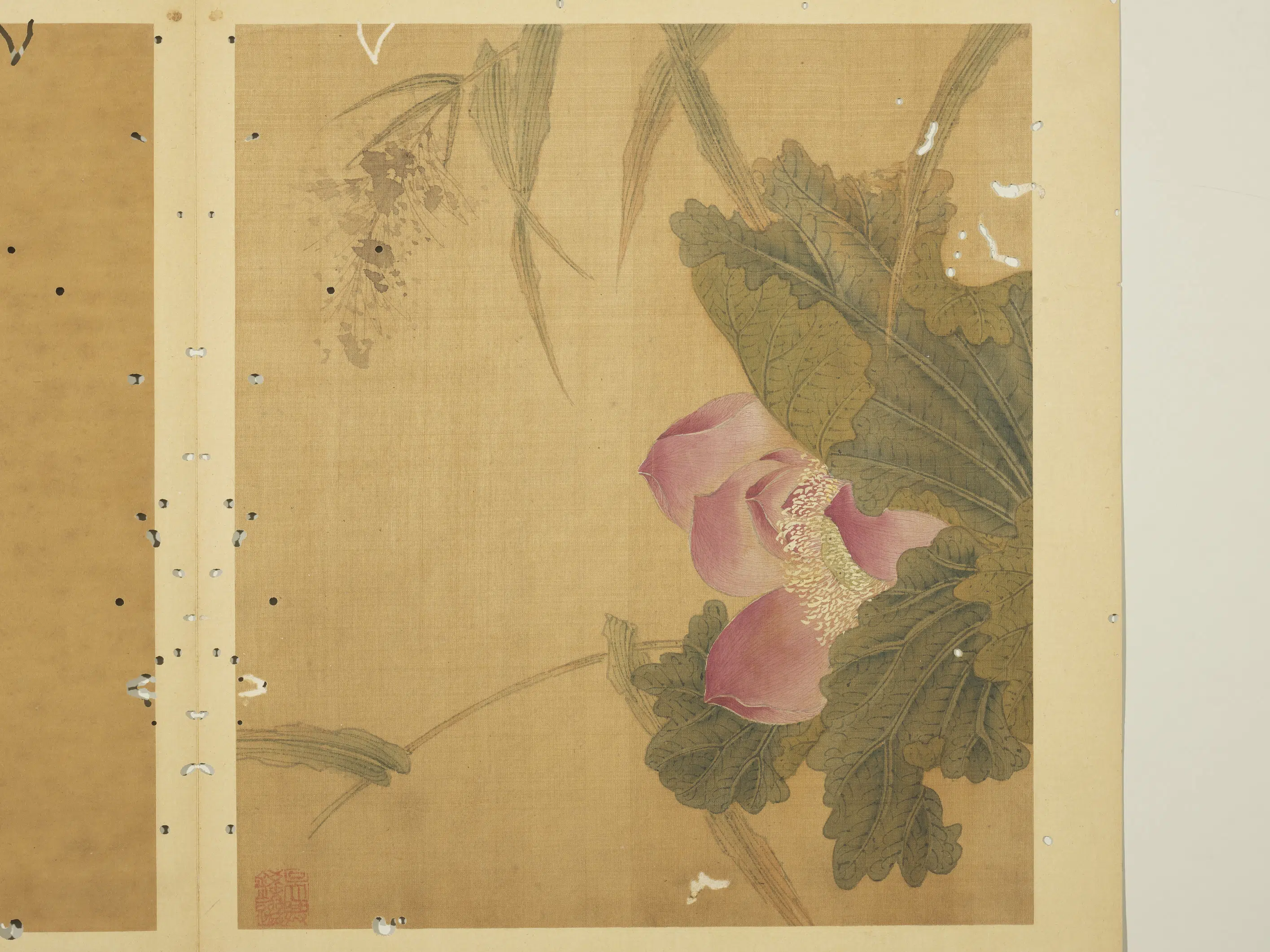 宋-元朝【钱选】《写生图册-荷花》