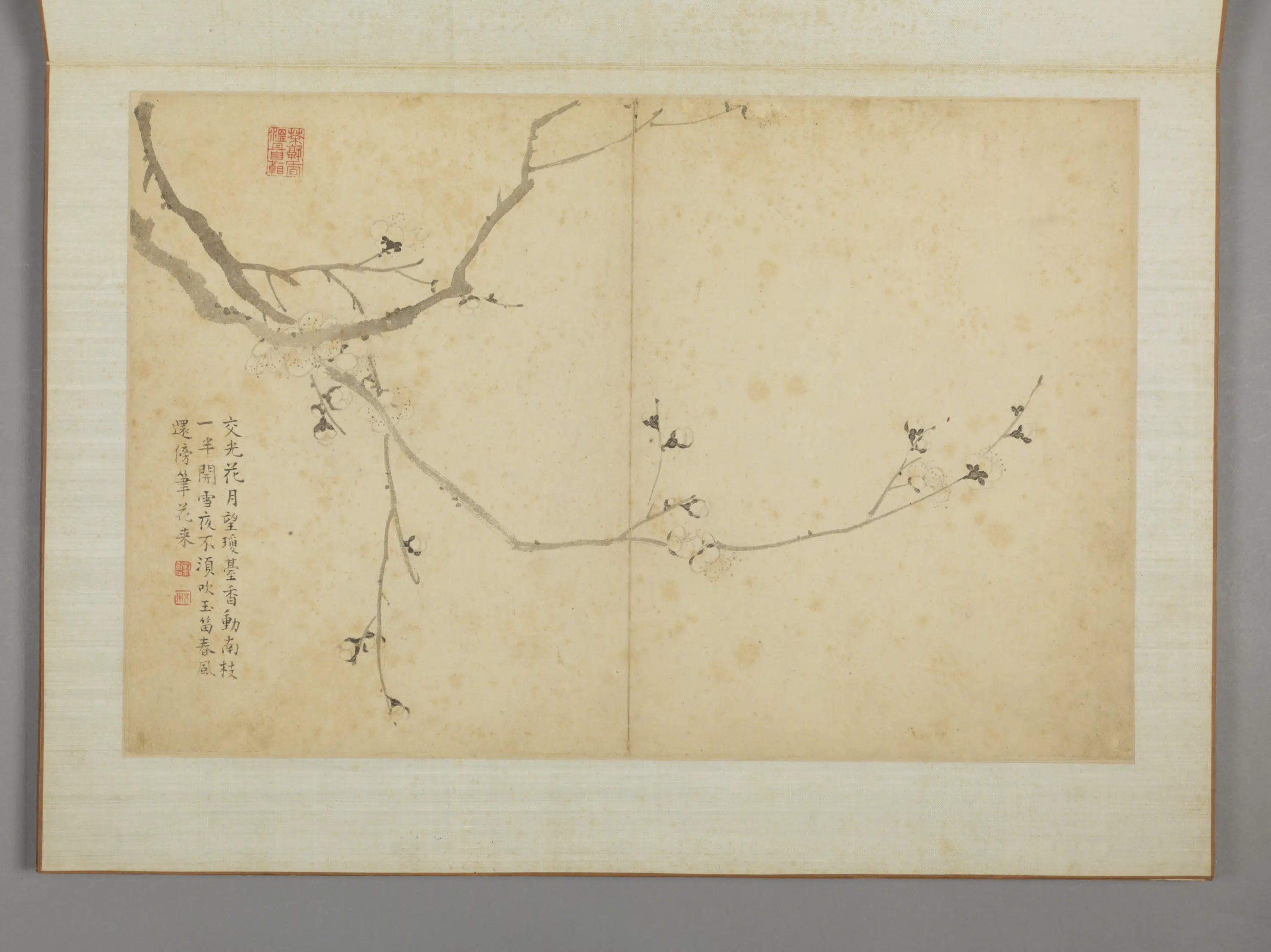 清代【蔡嘉】《花卉图册（11开）》 第11张