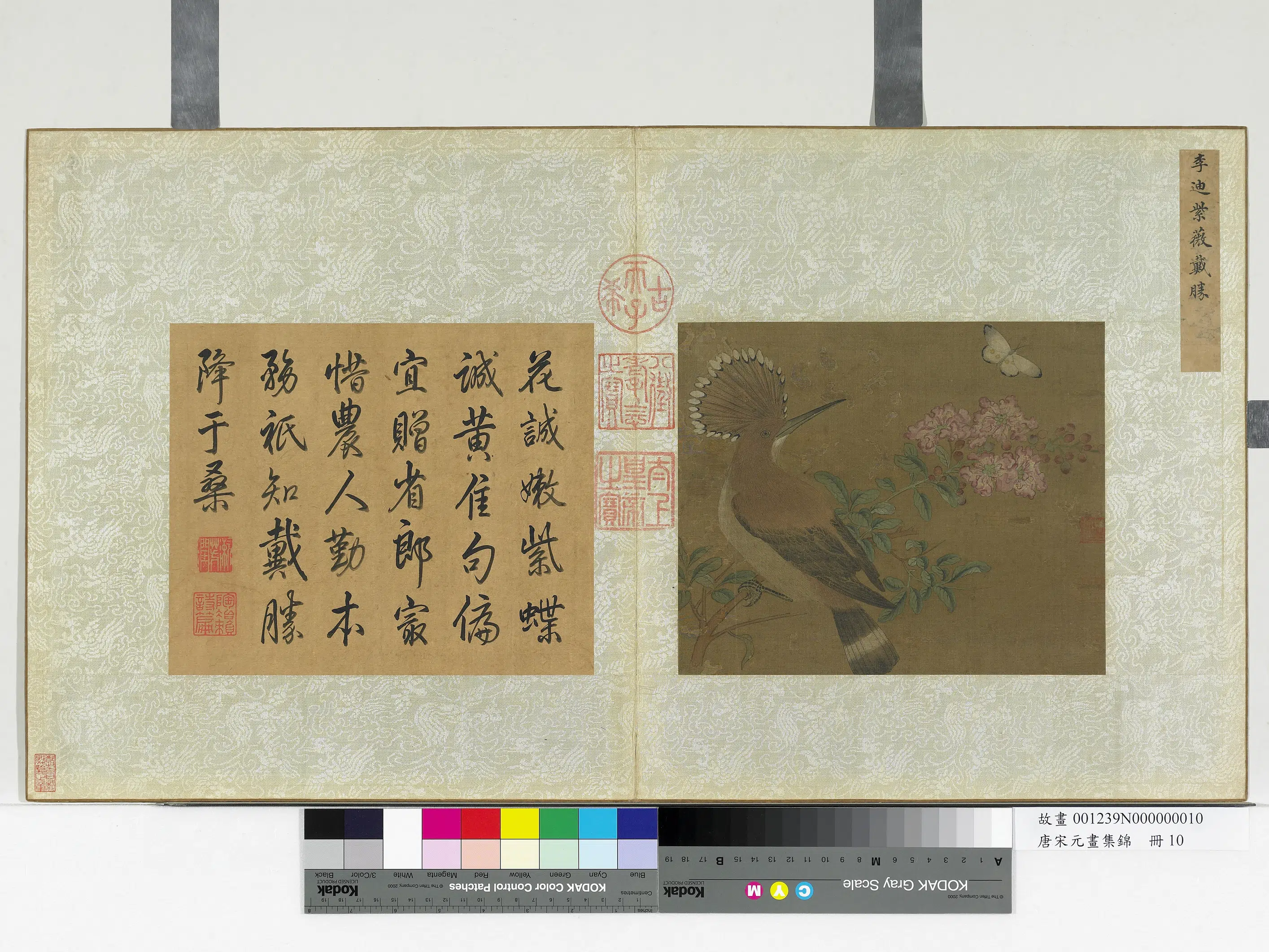 南宋【李迪】《唐宋元画集锦册-紫薇戴胜》