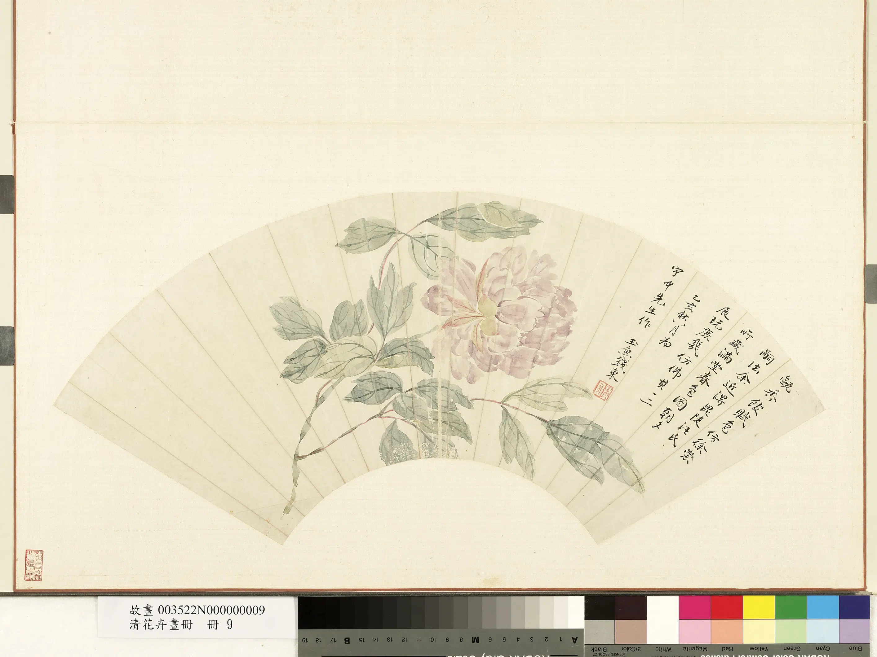 《花卉画册-8》 第11张