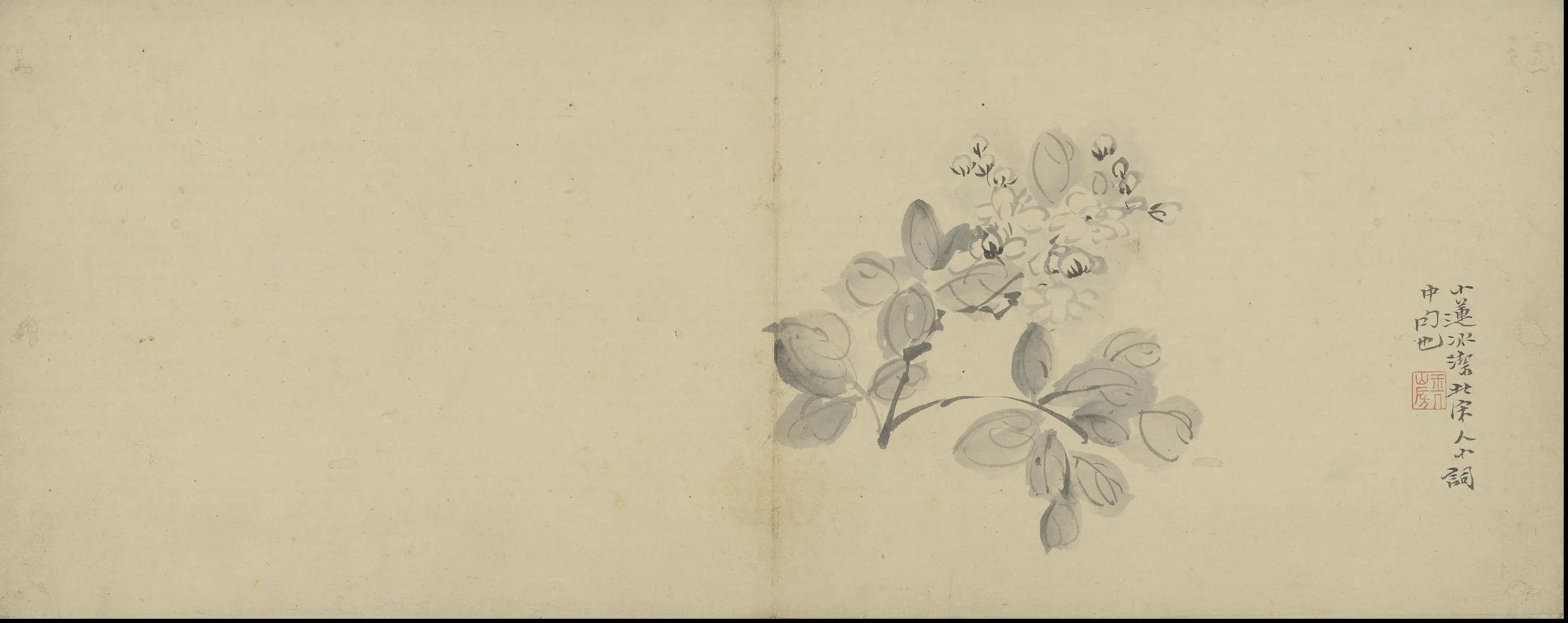 清代【陈撰】《花卉图册》 第3张