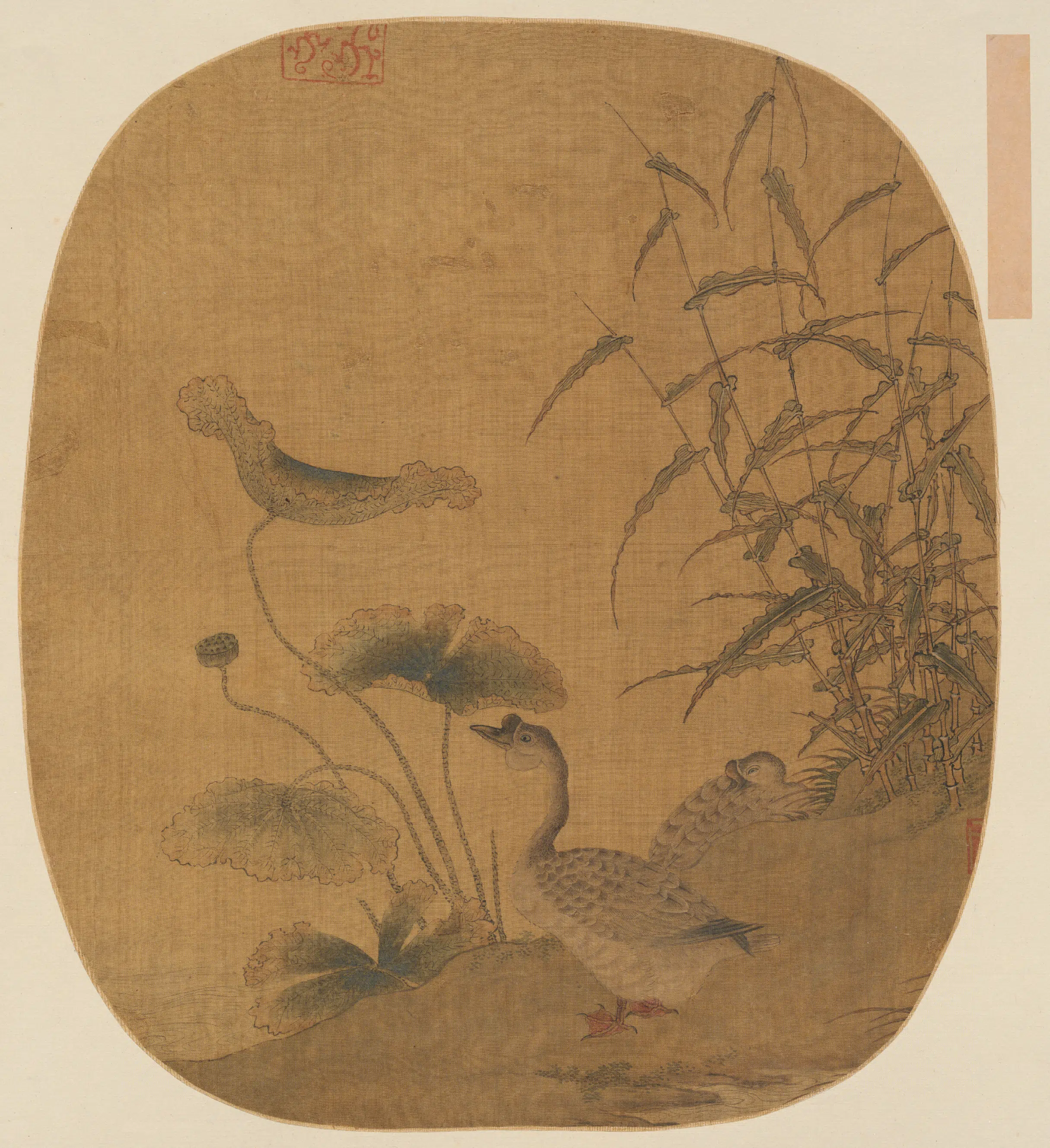明朝《宋元集册第二本-明人荷塘双鹅图页》 第1张
