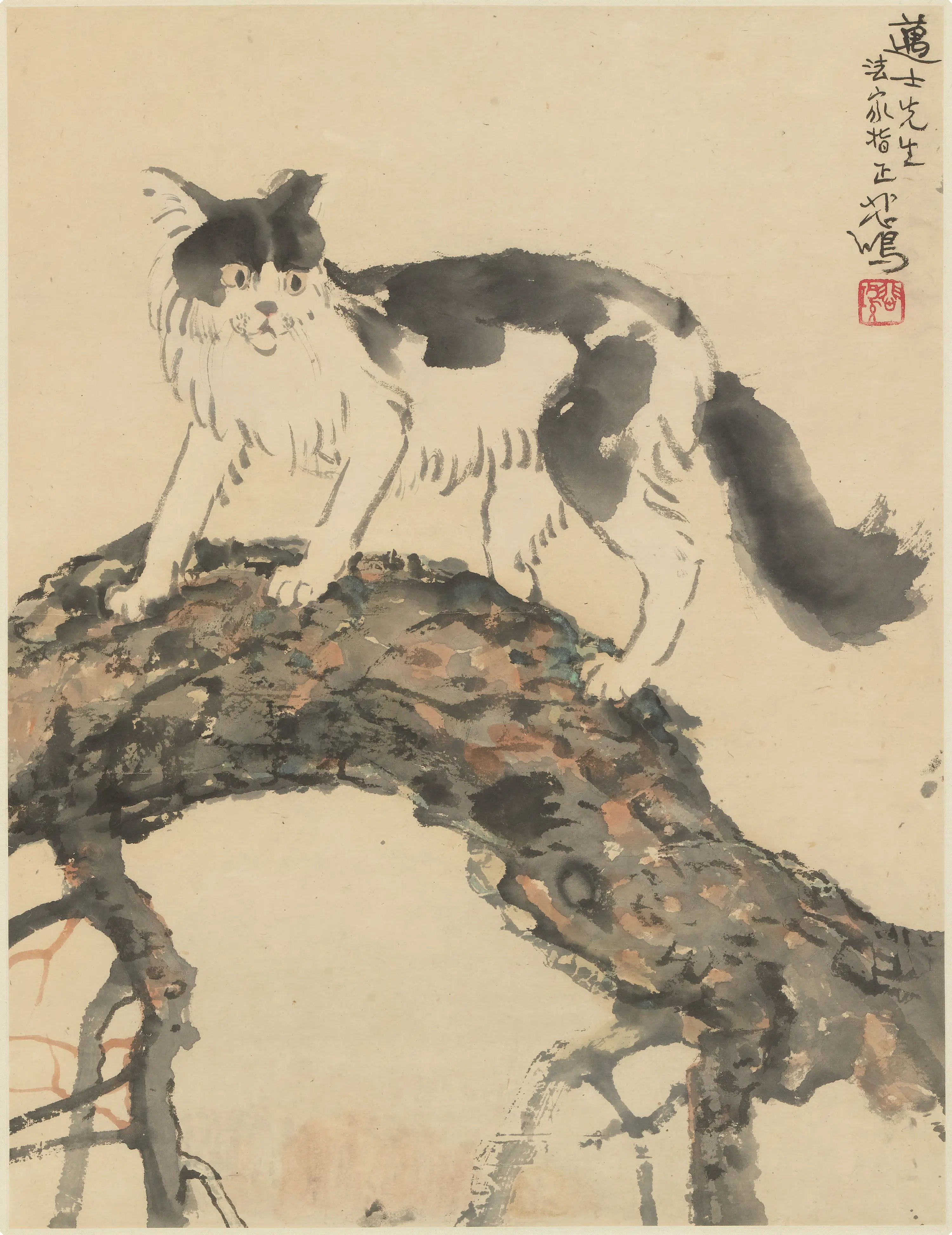 近现代【徐悲鸿】《猫图轴》