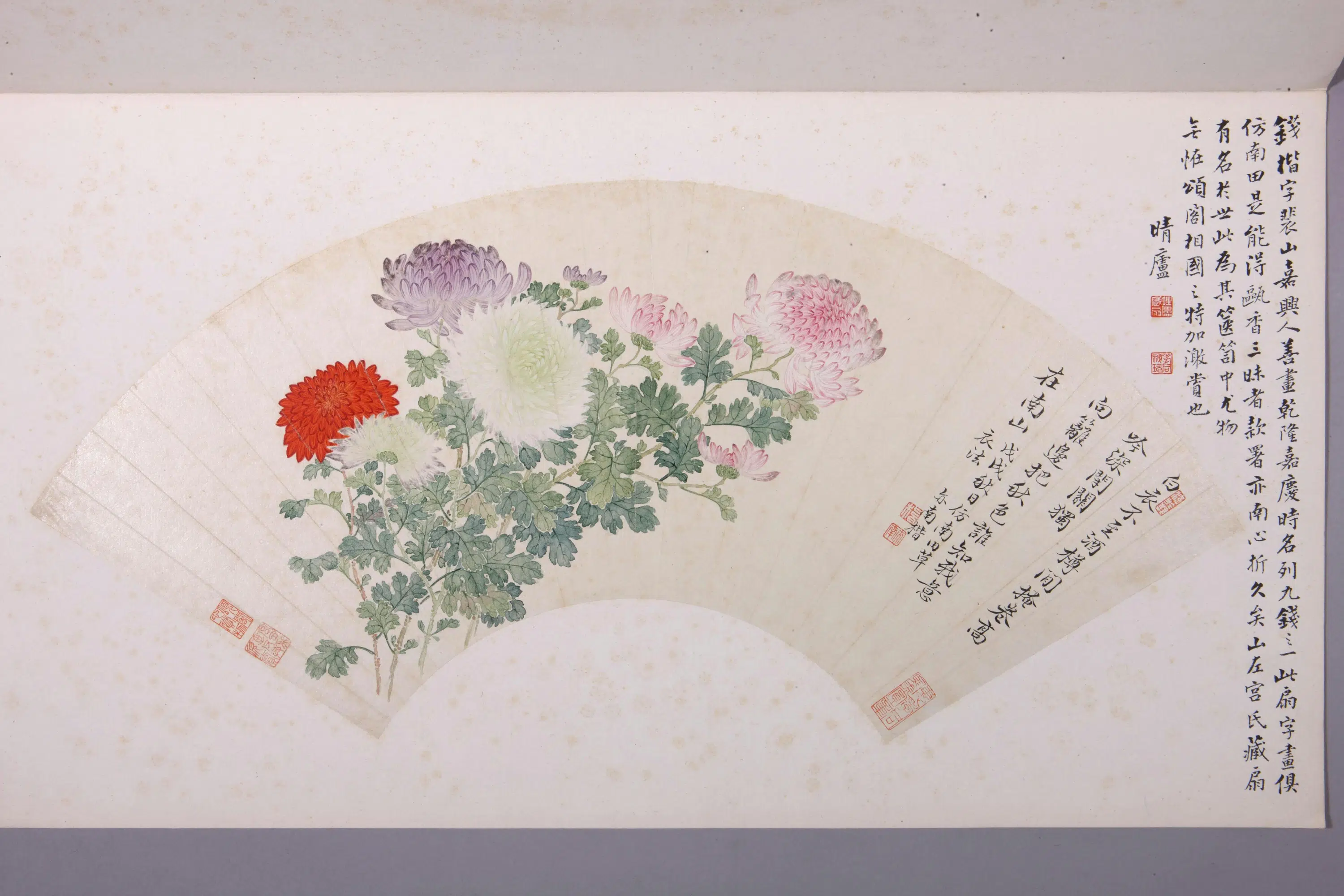 清代【钱楷】《菊花图扇页》