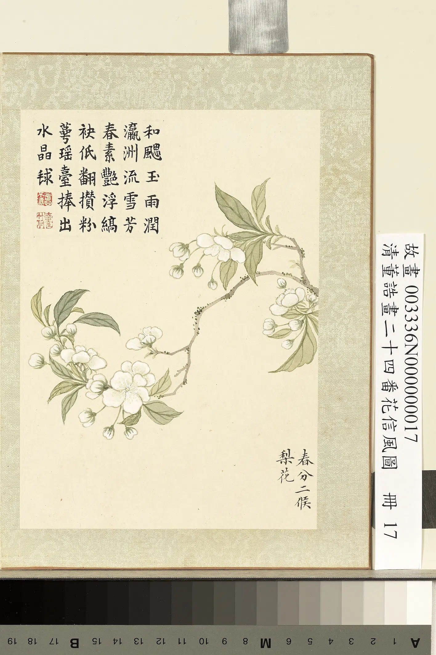 清代【董诰】《画二十四番花信风图册-春分二候梨花》 第1张