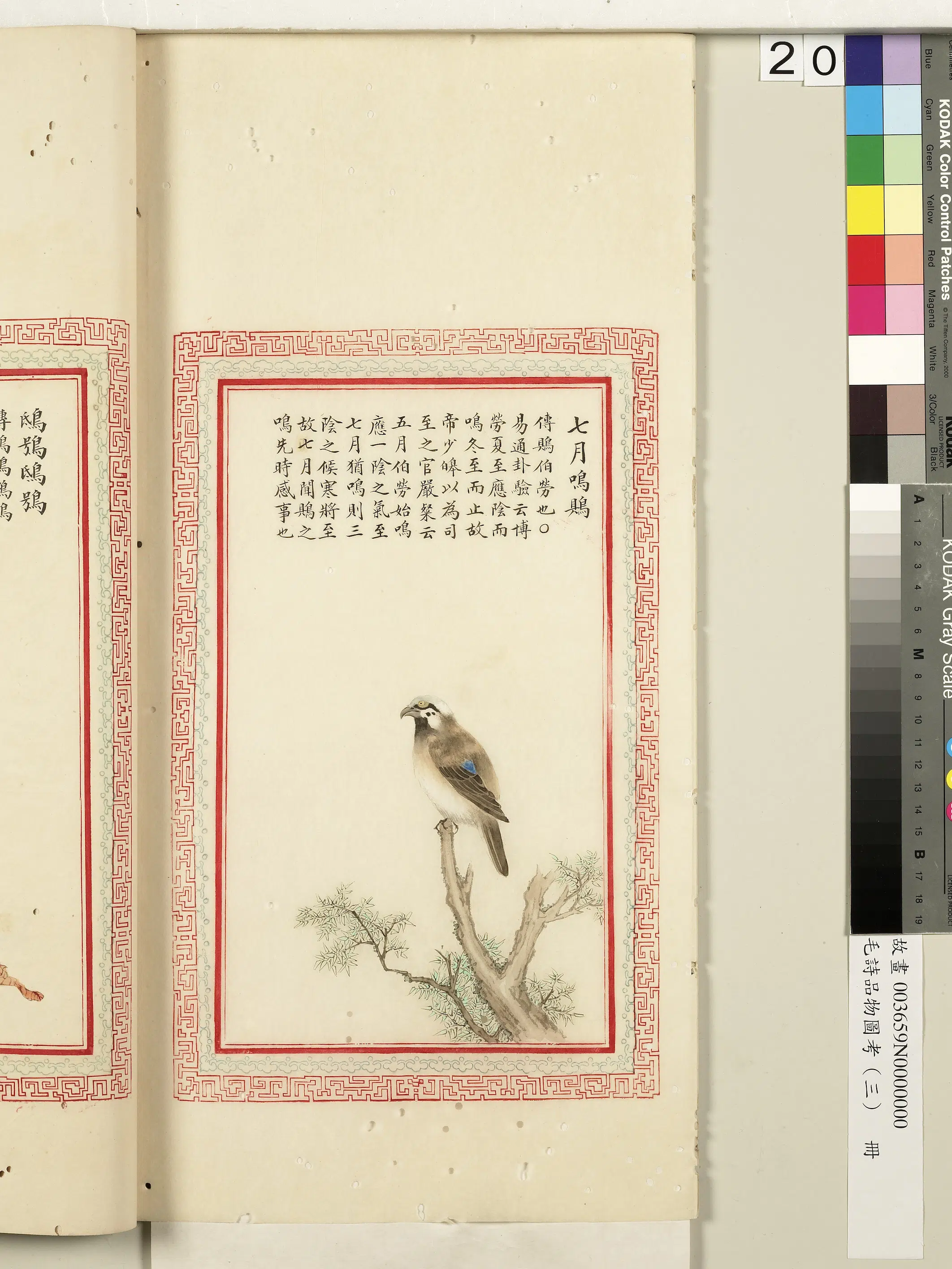 清代《毛诗品物图考（三）册-2》