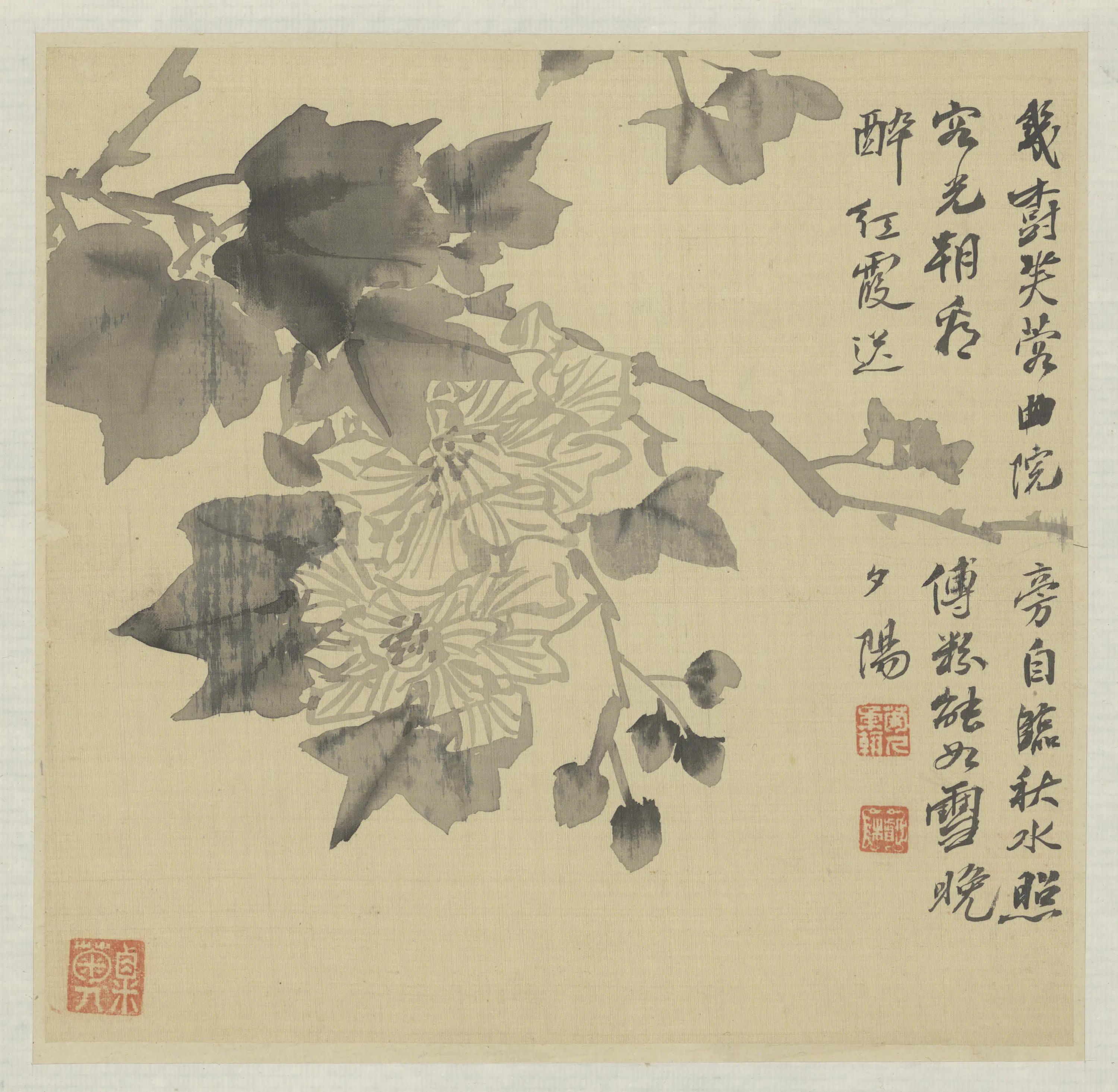 清代【粟楷】《花卉册》 第2张