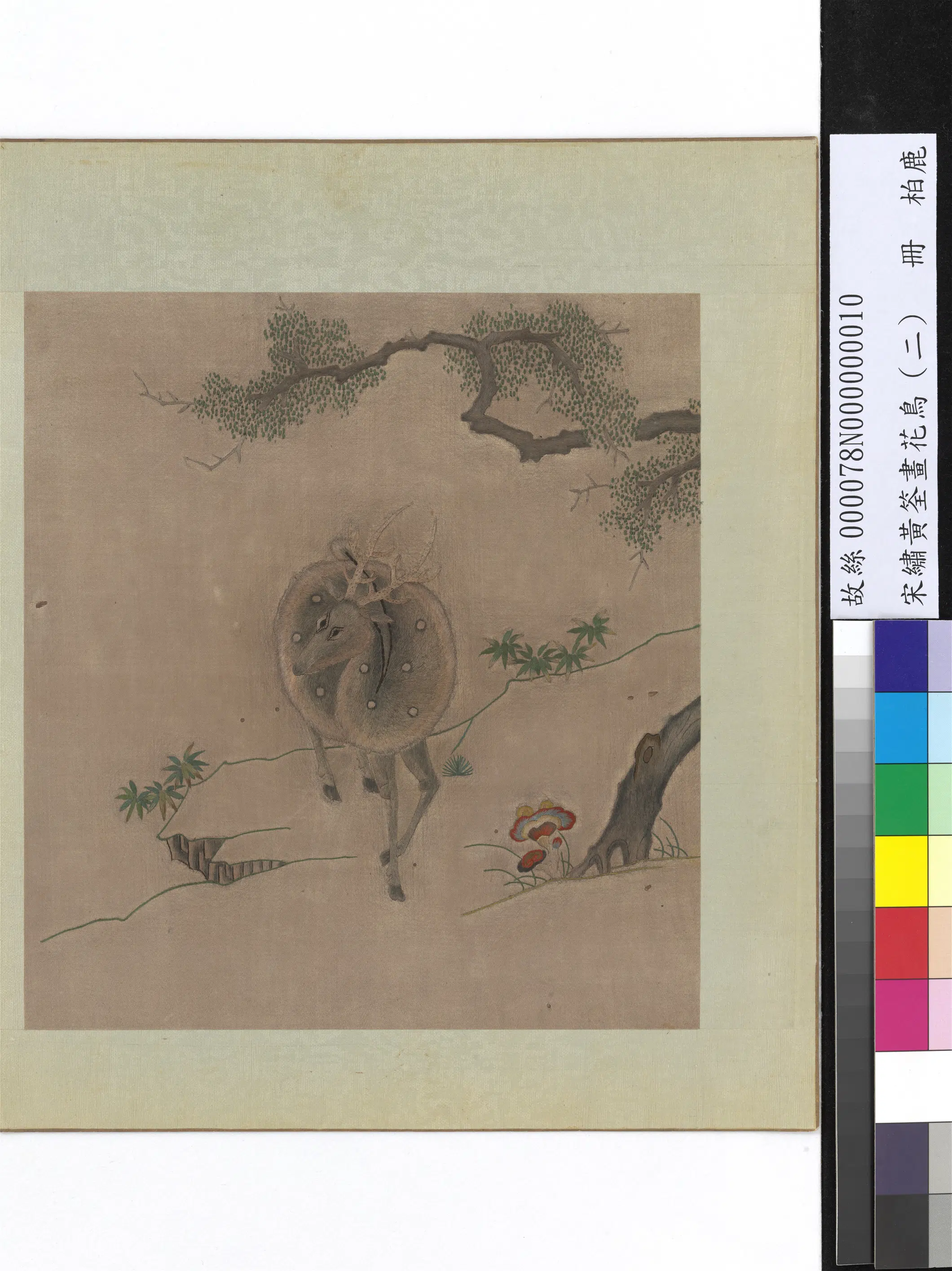 五代十国前后蜀【黄筌（荃）】《绣黄筌画花鸟（二）册》 第10张