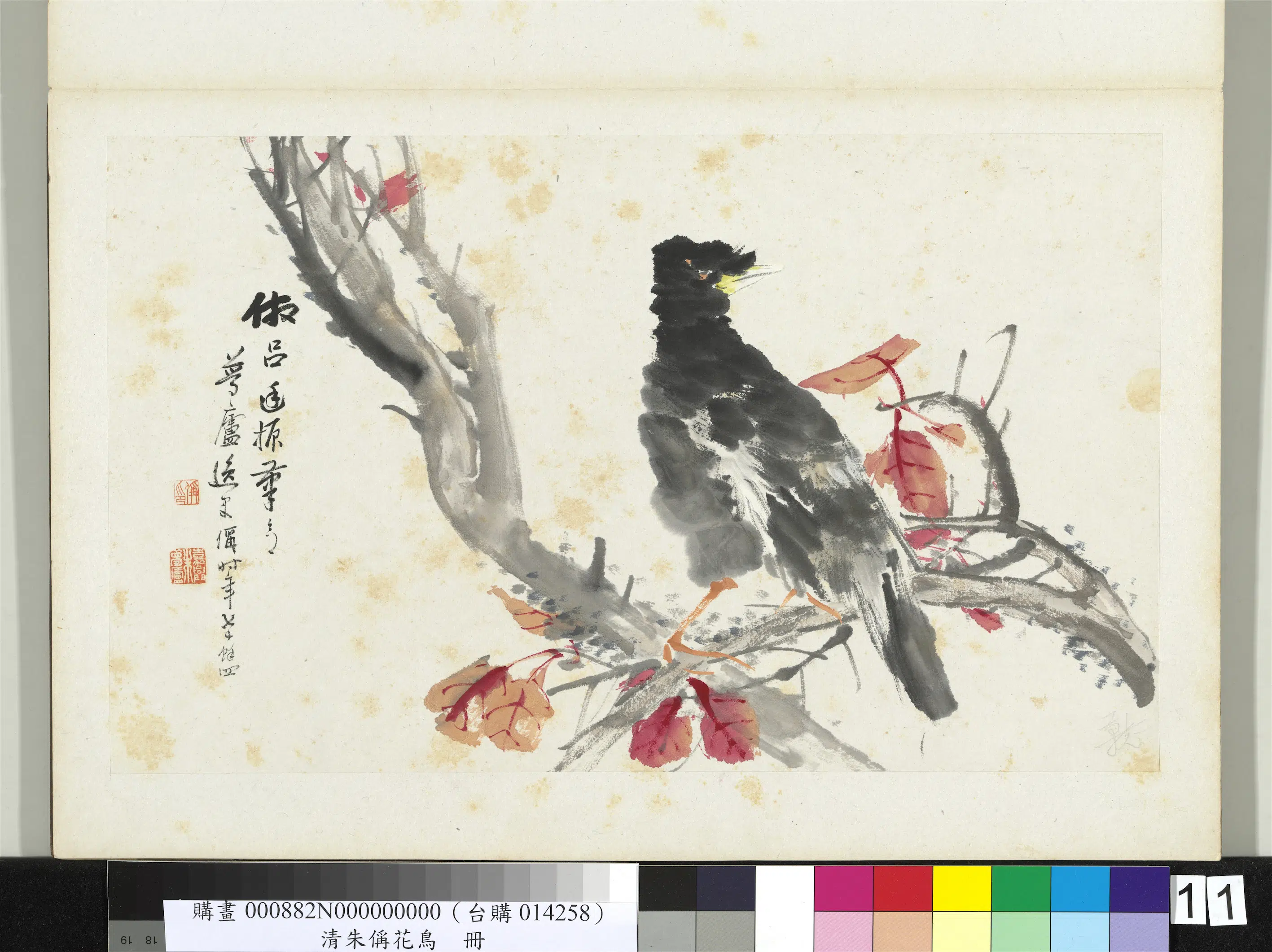 清代【朱偁】《花鸟册》 第7张