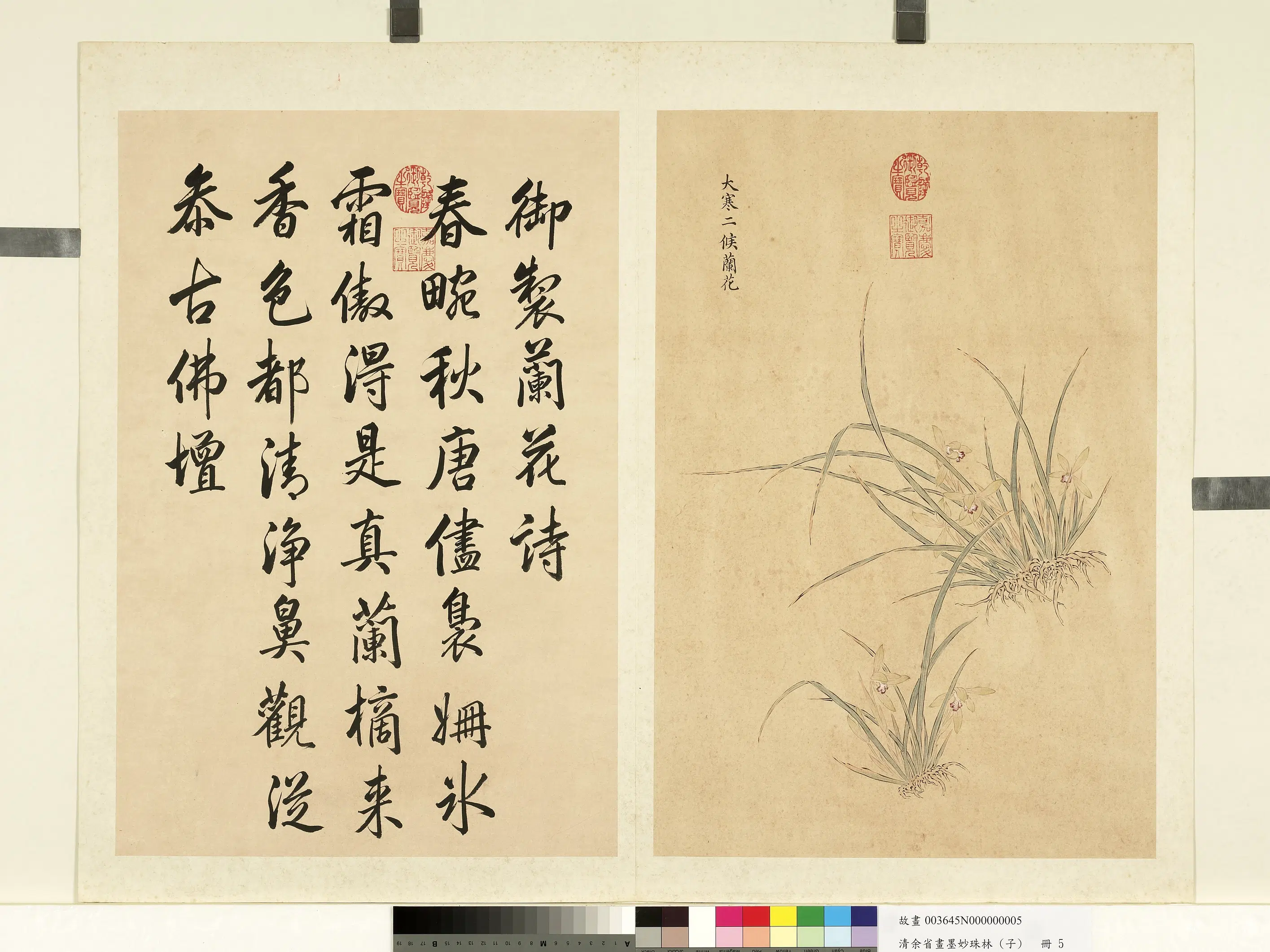 清代【余省】《画墨妙珠林（子）册-大寒二候兰花》