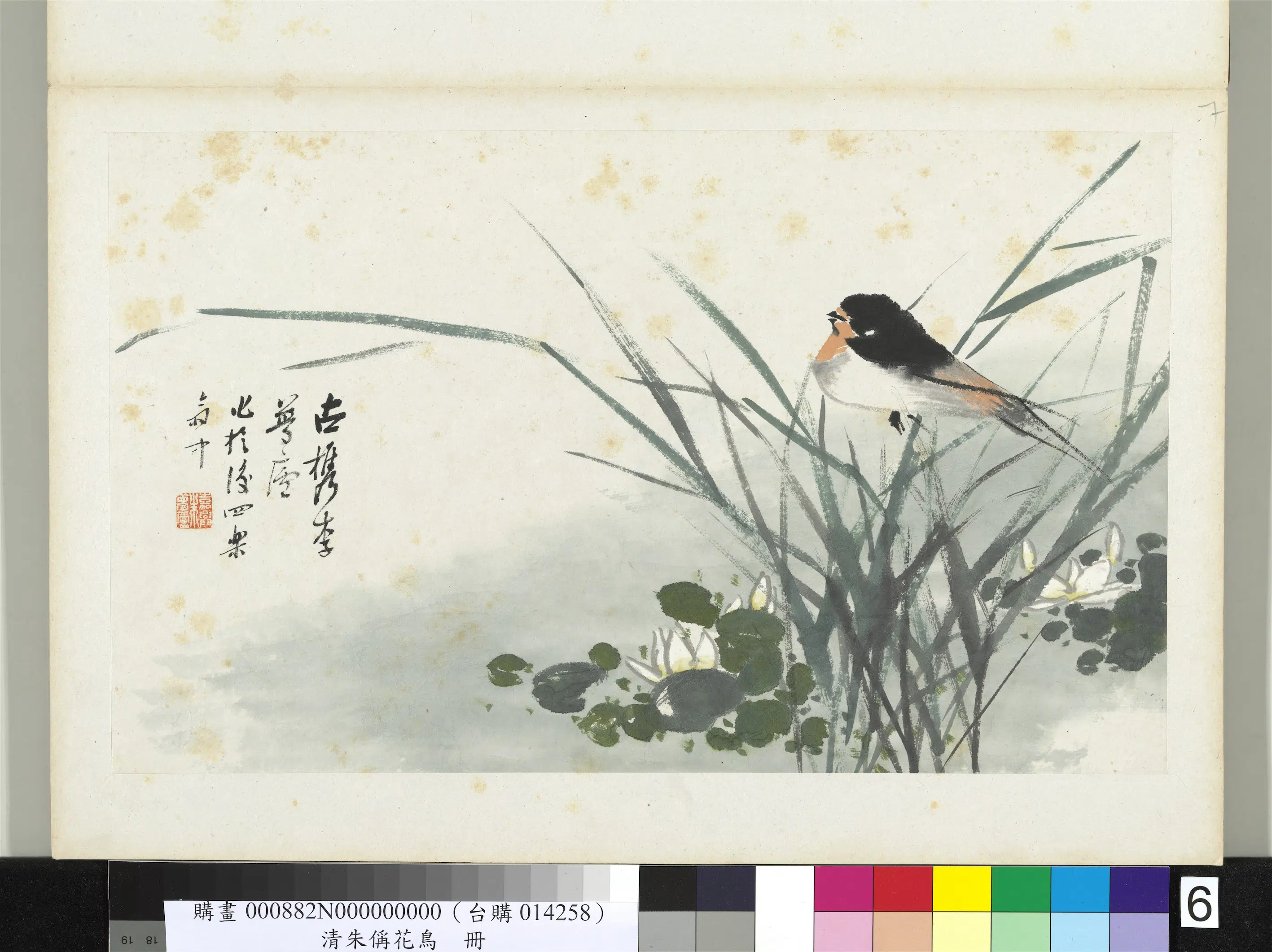 清代【朱偁】《花鸟册-莲花燕子》