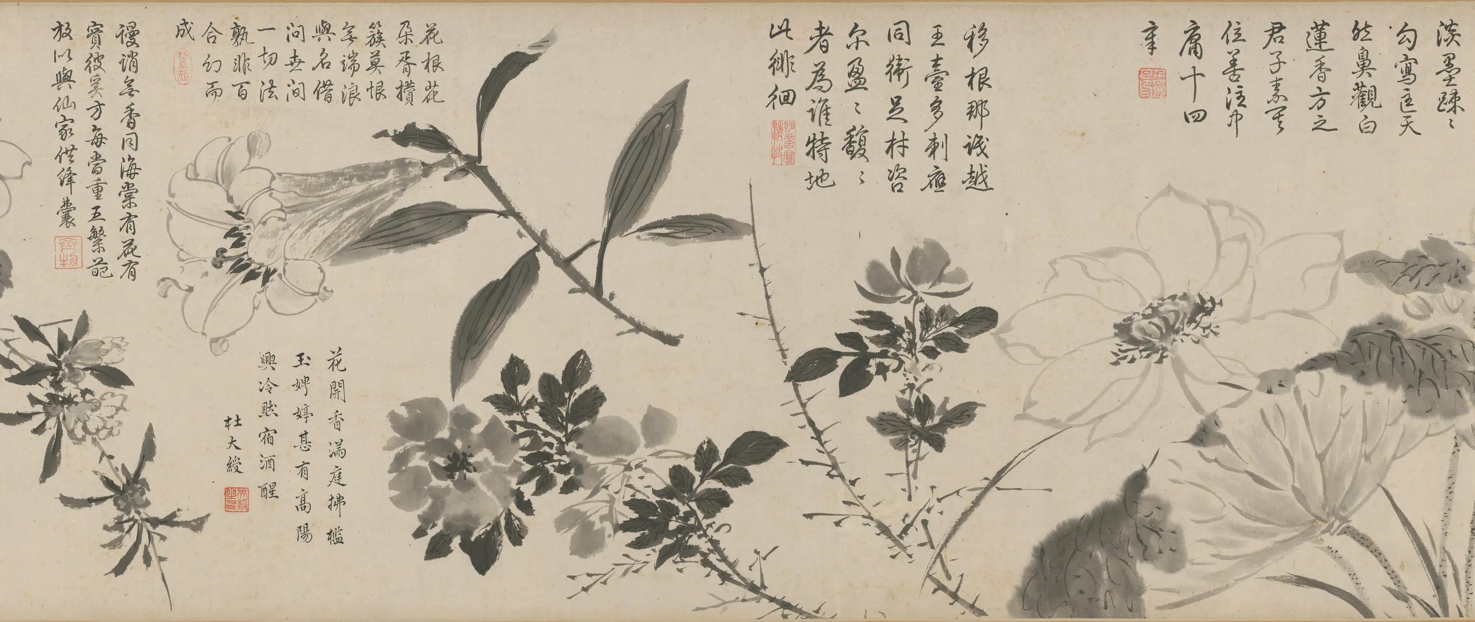 明朝【周之冕】《百花图卷》 第21张 明朝【周之冕】《百花图卷》 第21张