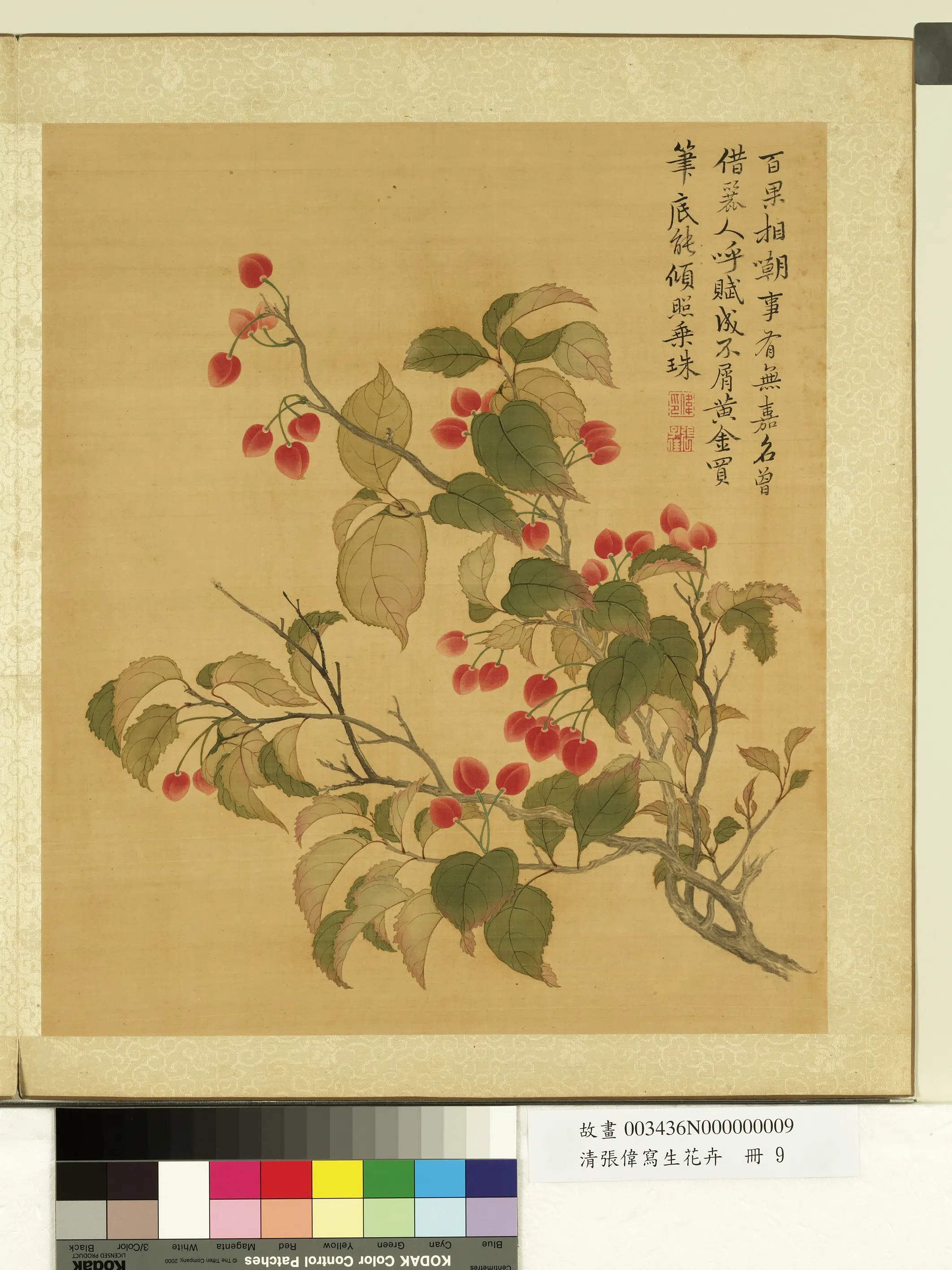 清代【张伟】《写生花卉册-樱桃》