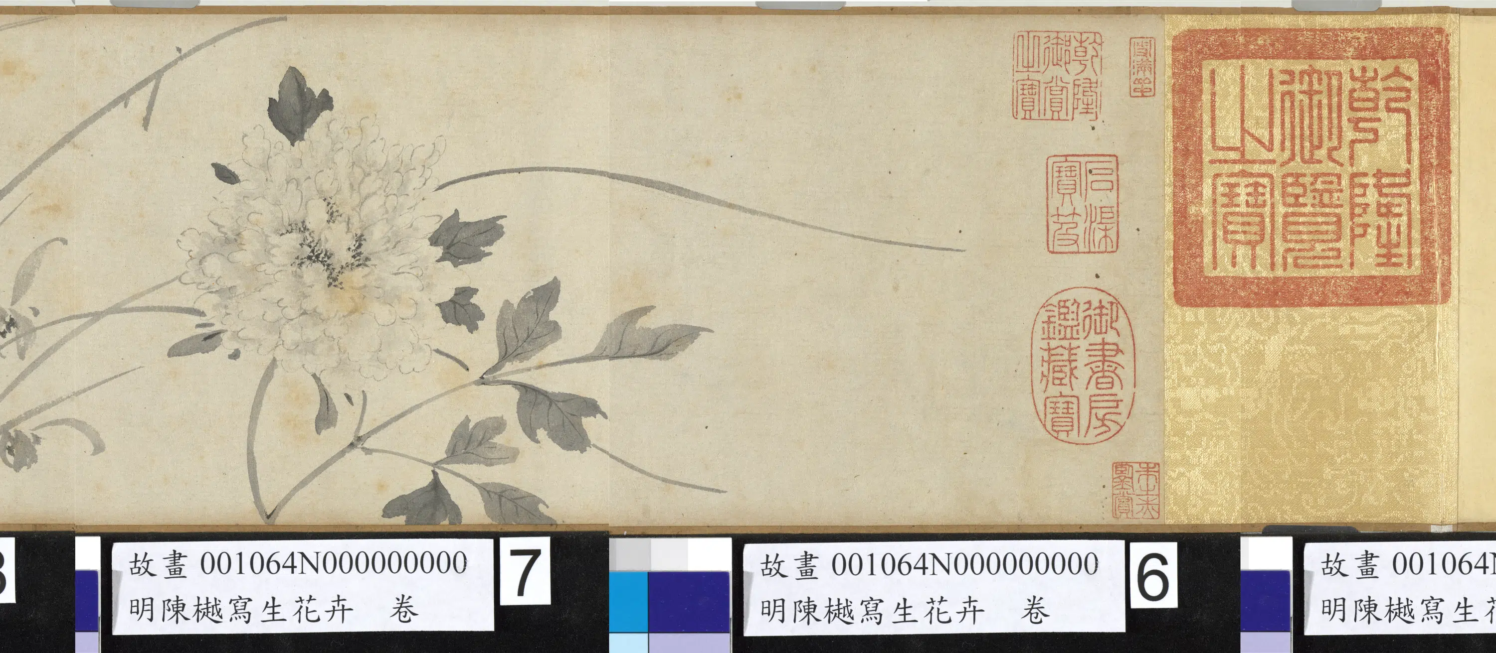 明朝【陈樾】《写生花卉卷前幅》 第3张